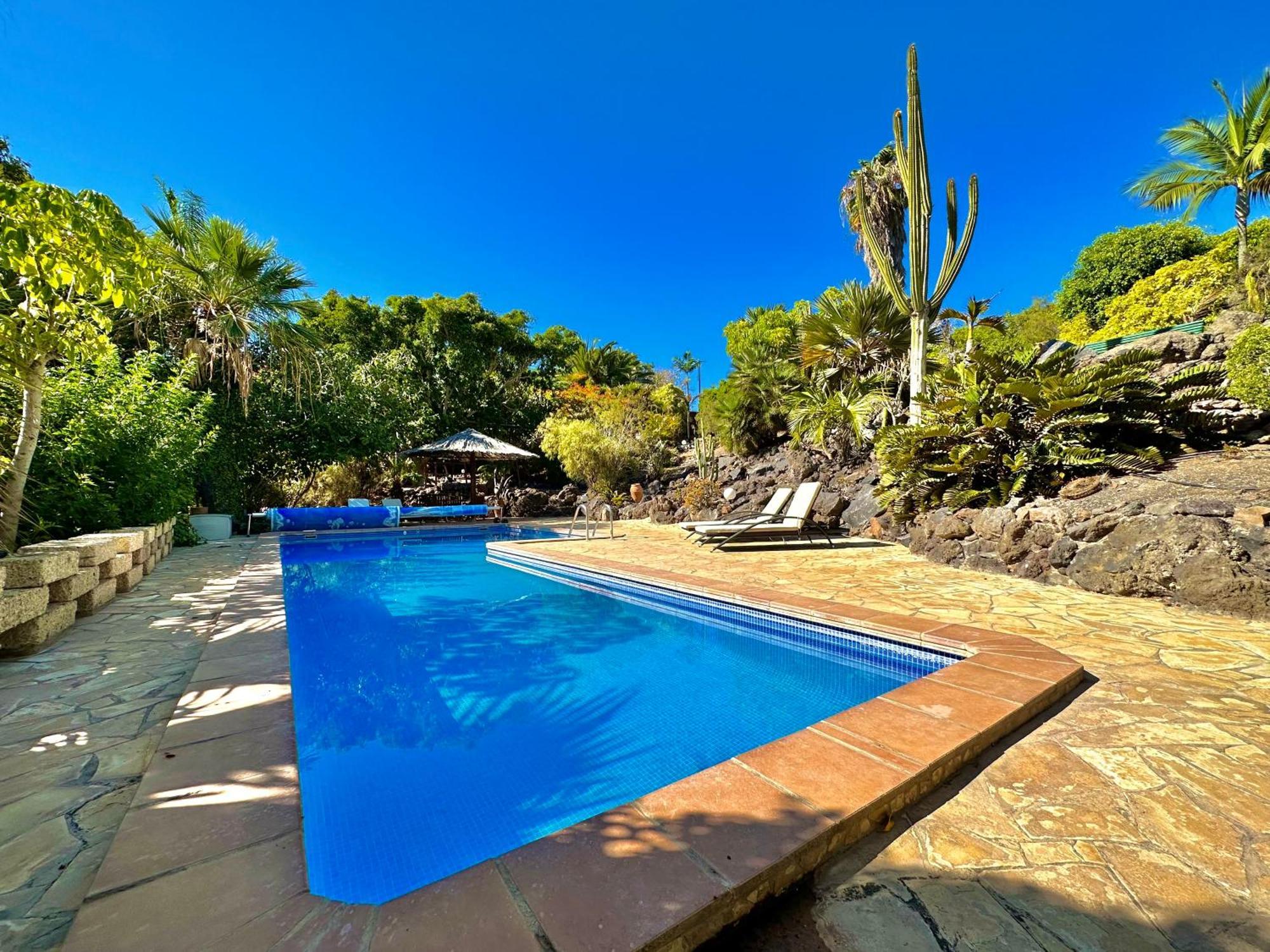 Tropical Garden