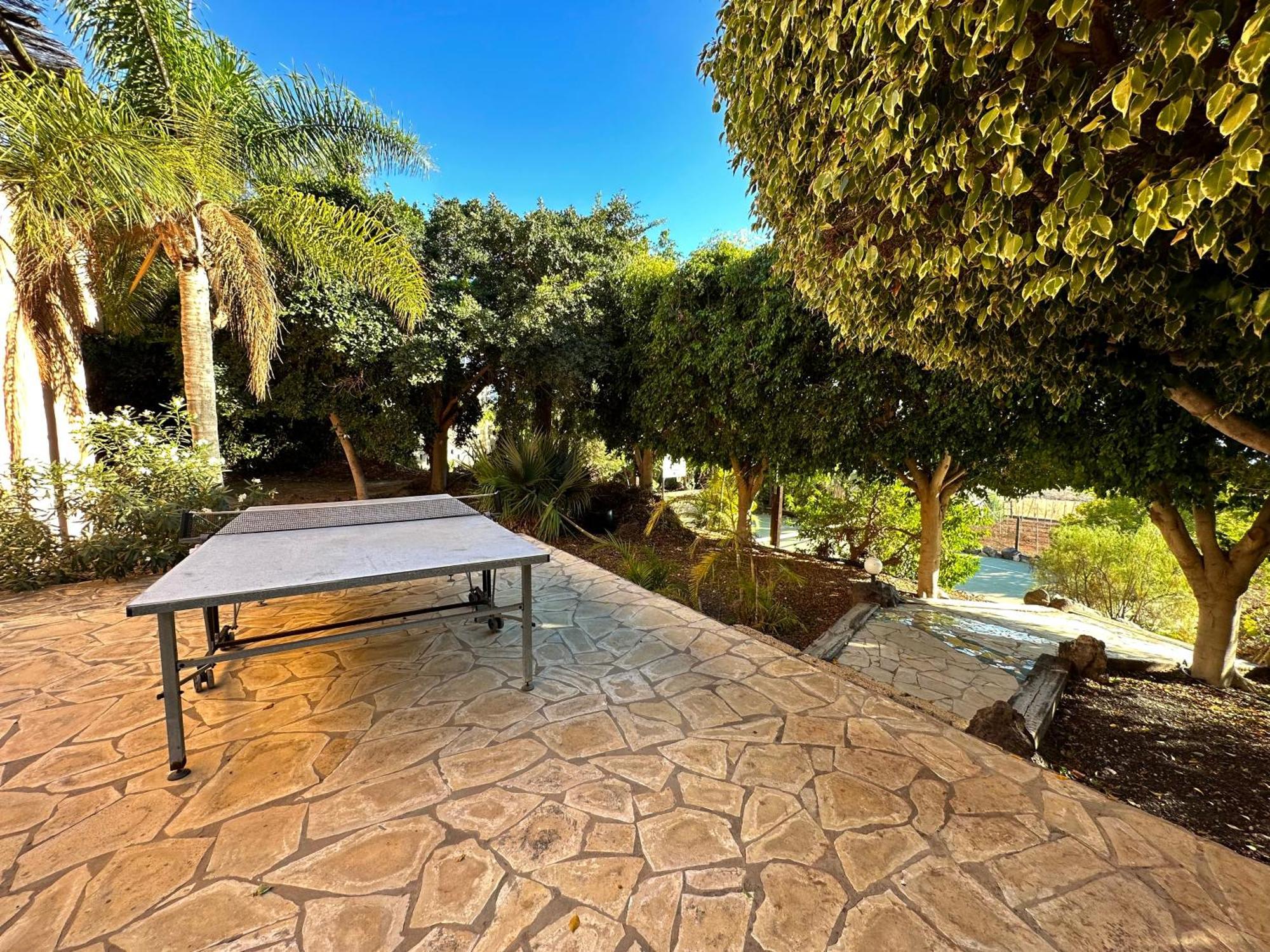Tropical Garden