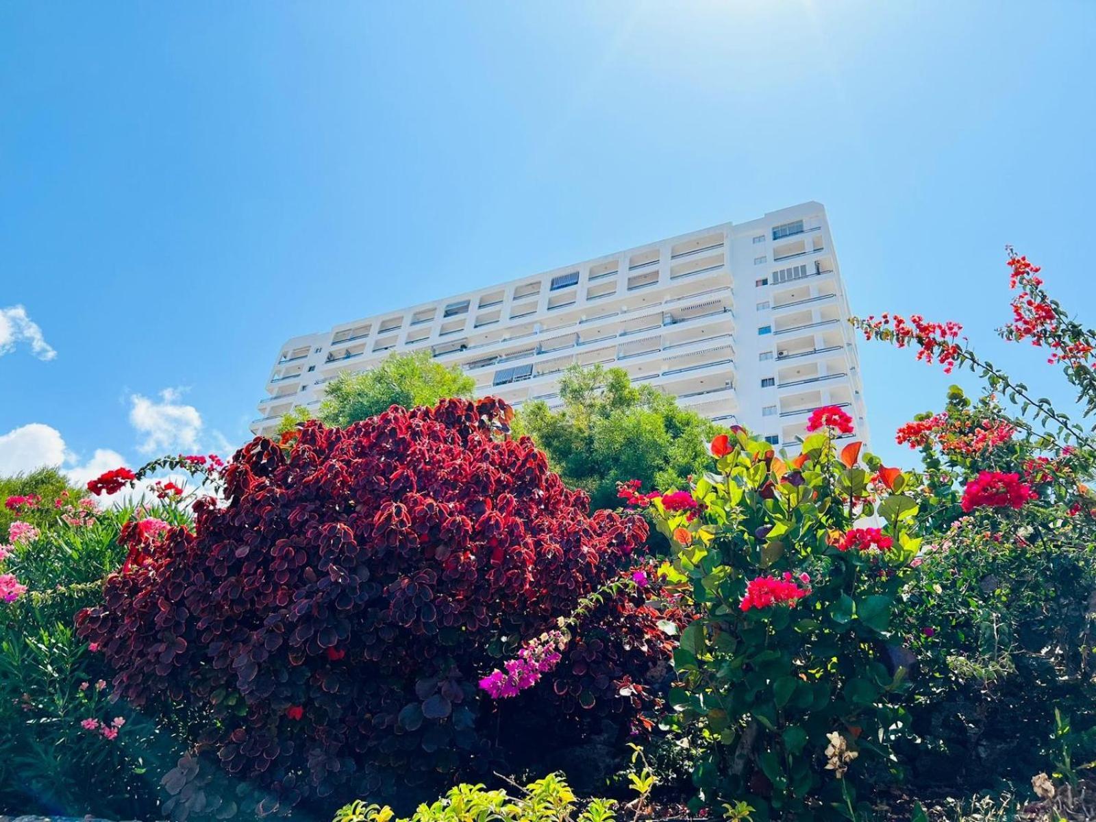 Сasa de vacaciones Luxury Kim Apartment, Ocean View & Wifi Free