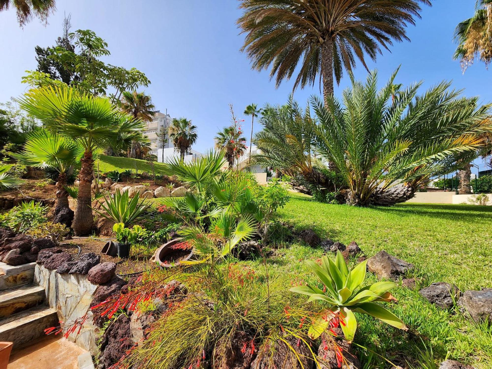 Royal Ocean View El Dorado * Arona (Tenerife)