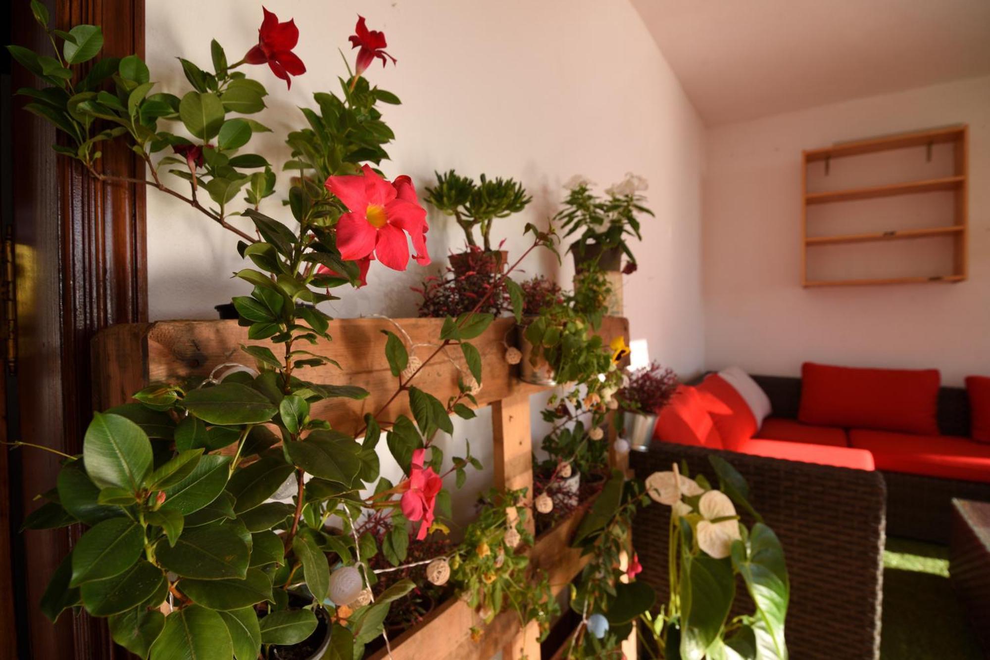 Hébergement de vacances La Casa De Las Flores