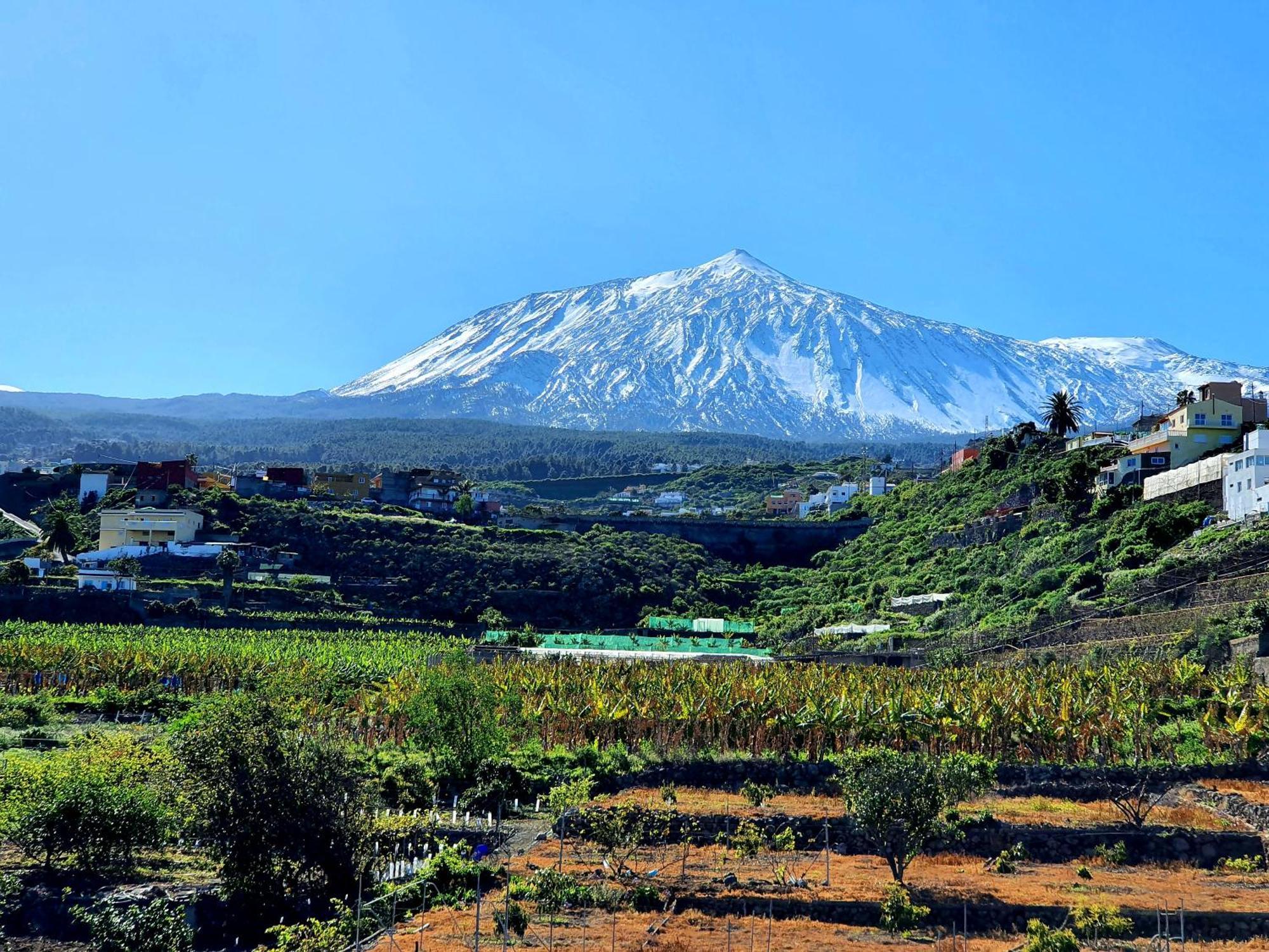 Teide In Icod De Vinos By Hrtenerife Net Icod De Los Vinos