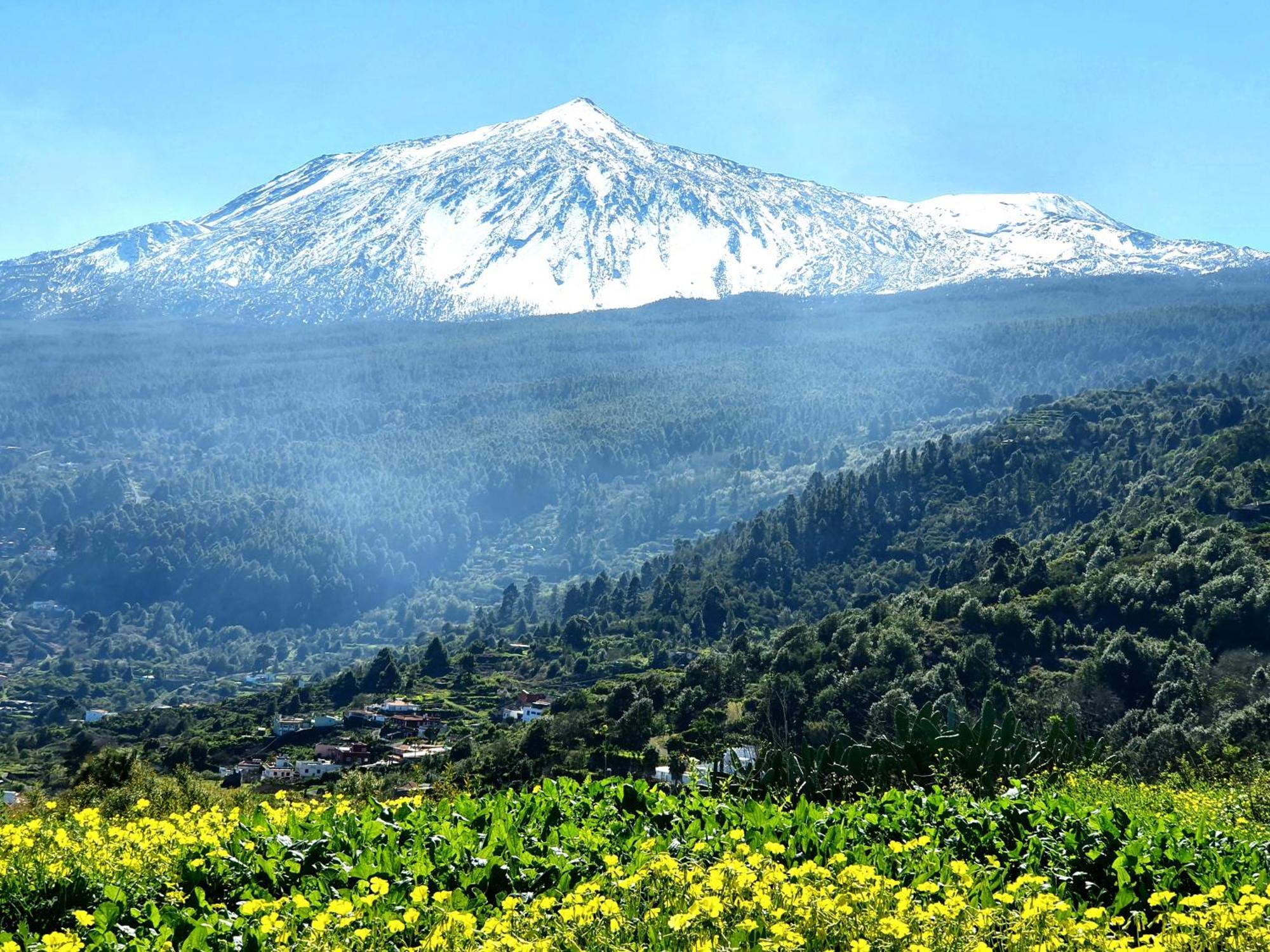 Teide In Icod De Vinos By Hrtenerife Net * Icod De Los Vinos