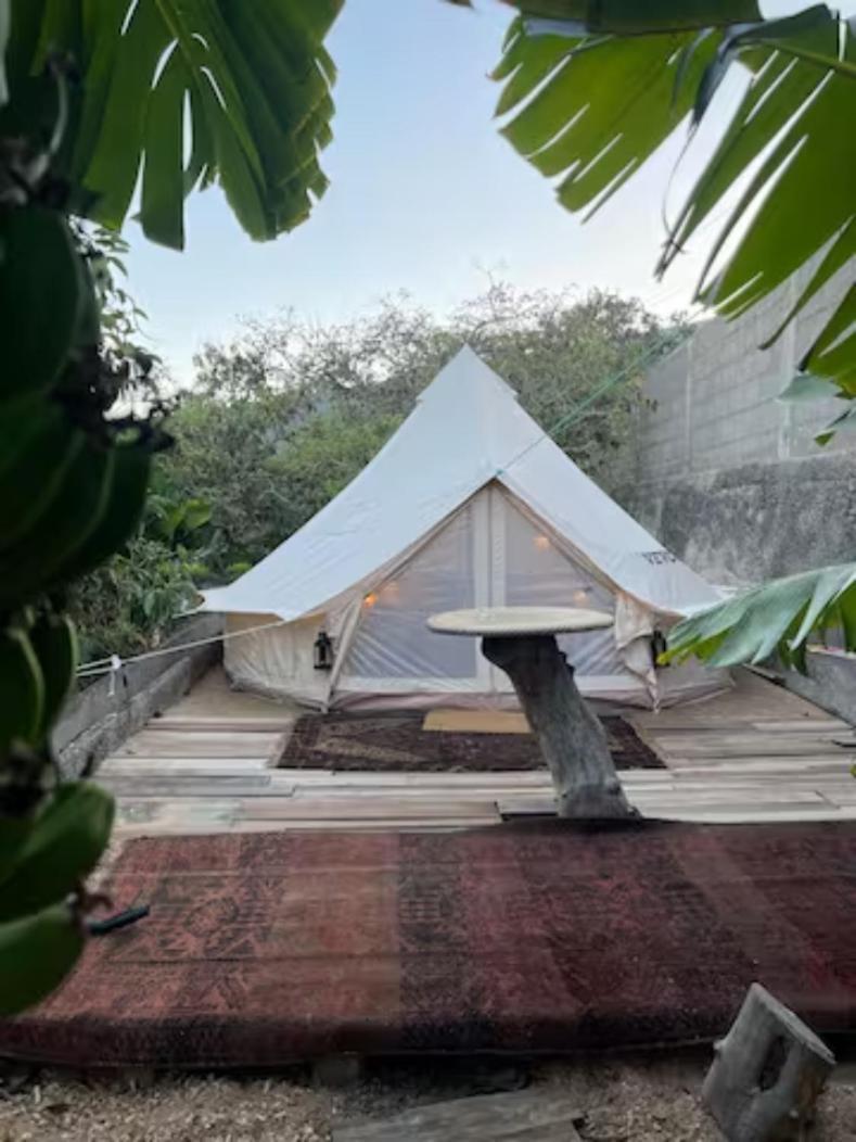 Tente de luxe Yurt In Avocado Garden Güimar