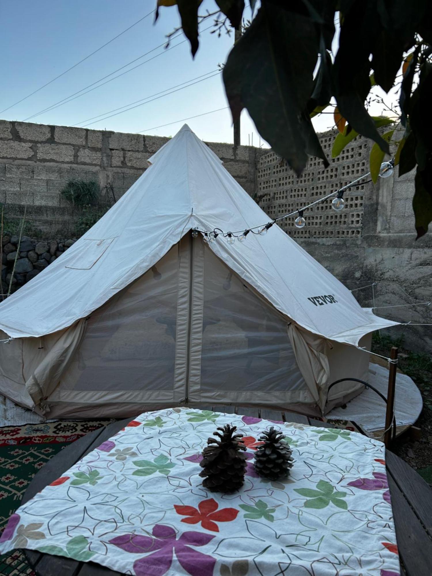 Tente de luxe Yurt In Avocado Garden