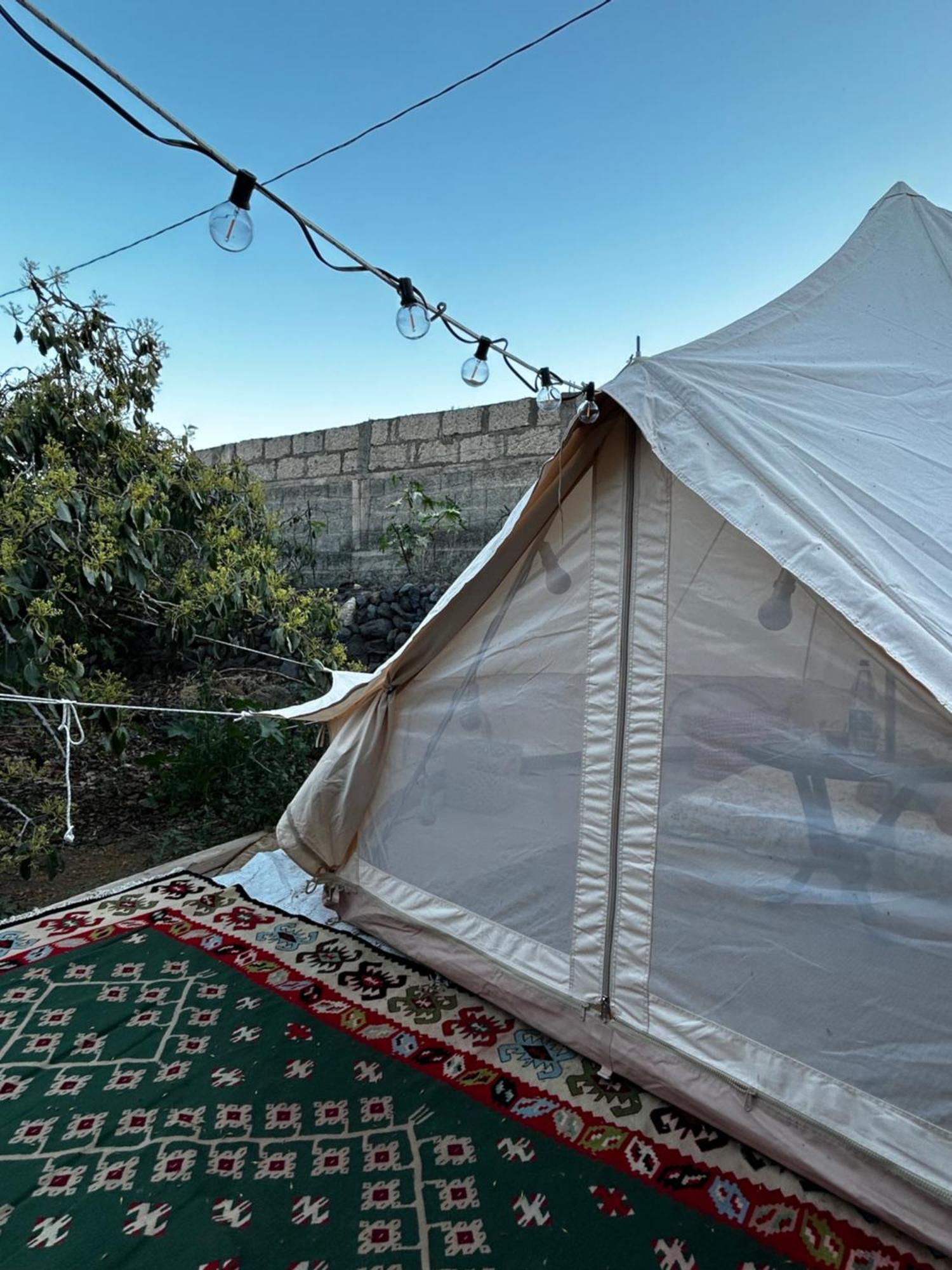 Yurt In Avocado Garden *