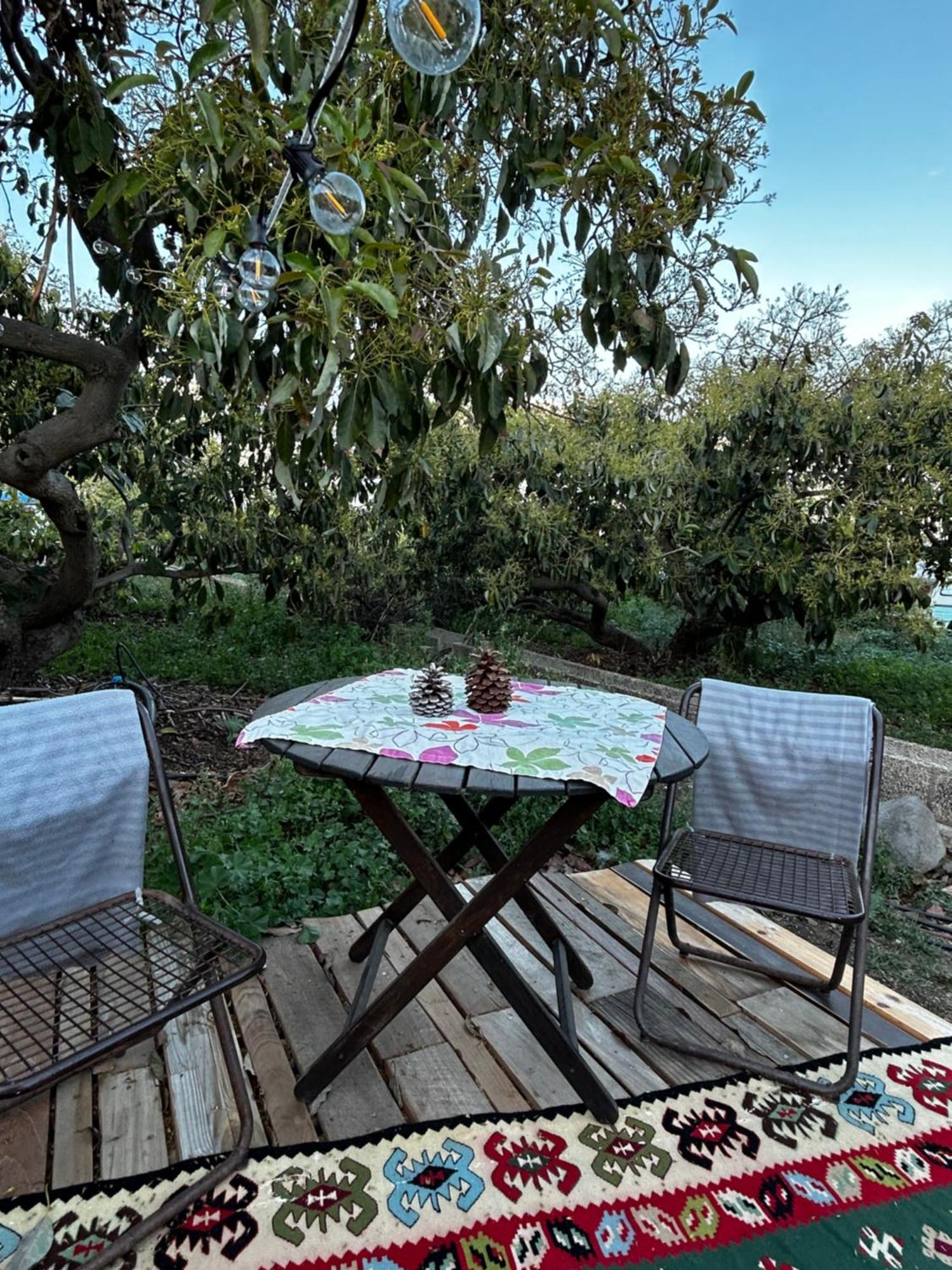 Tente de luxe Yurt In Avocado Garden *