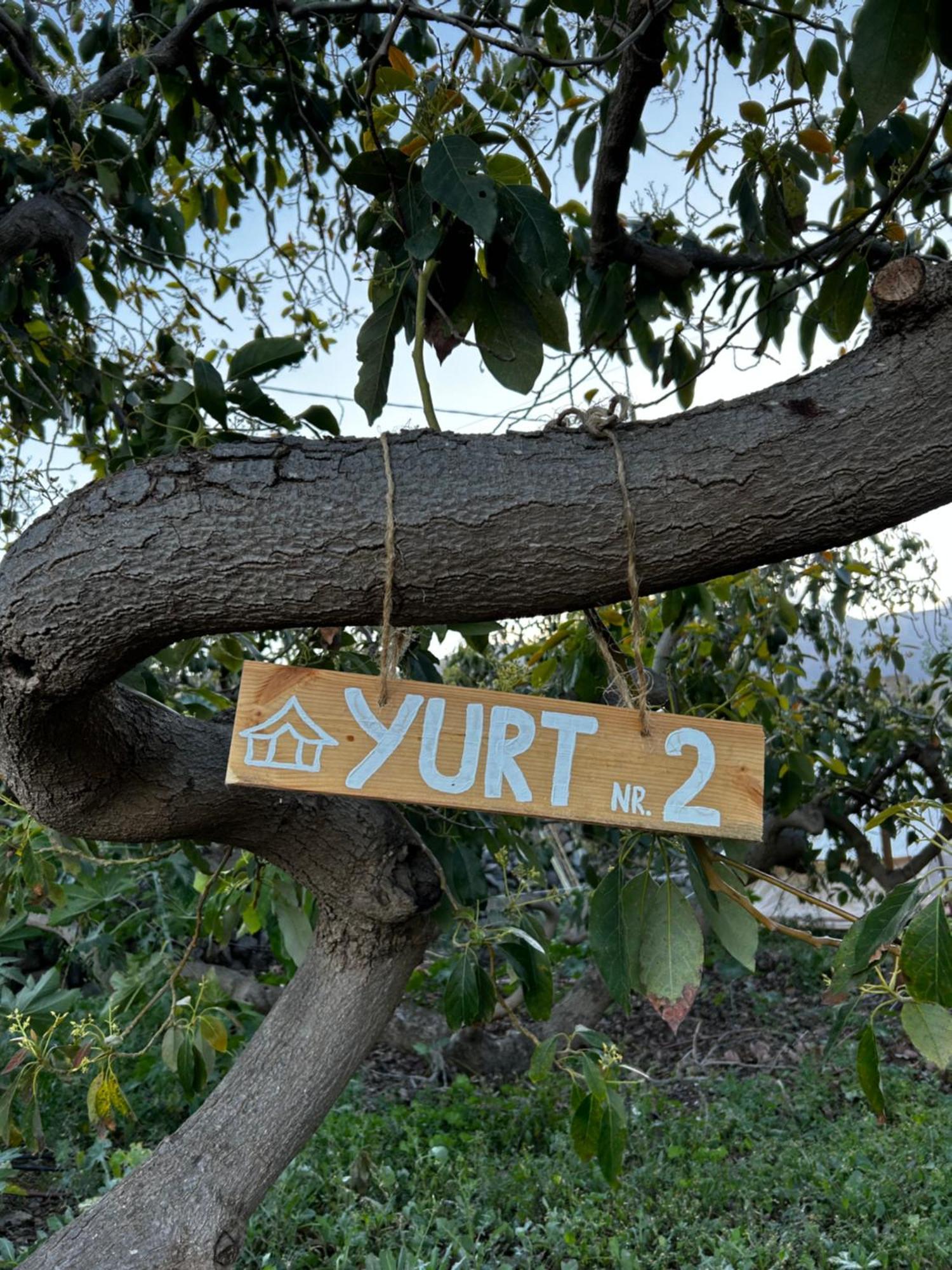 Yurt In Avocado Garden * Güimar