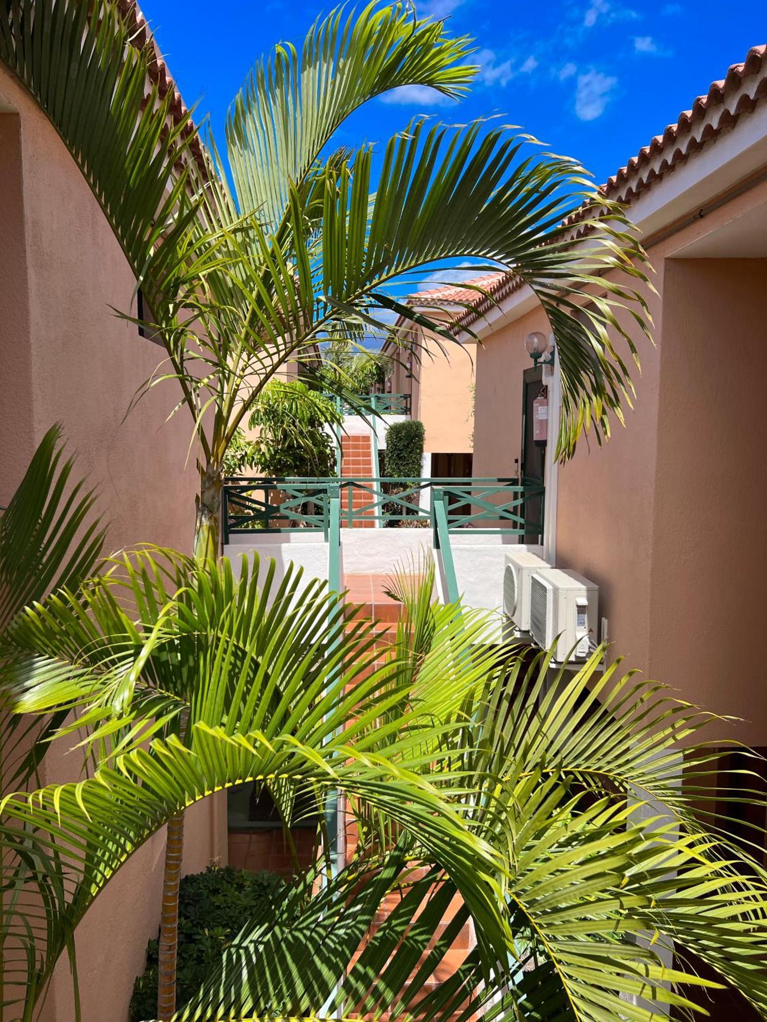 Paz Ocean View, Air Condition, Wifi, Heated Pool Appartement San Miguel de Abona