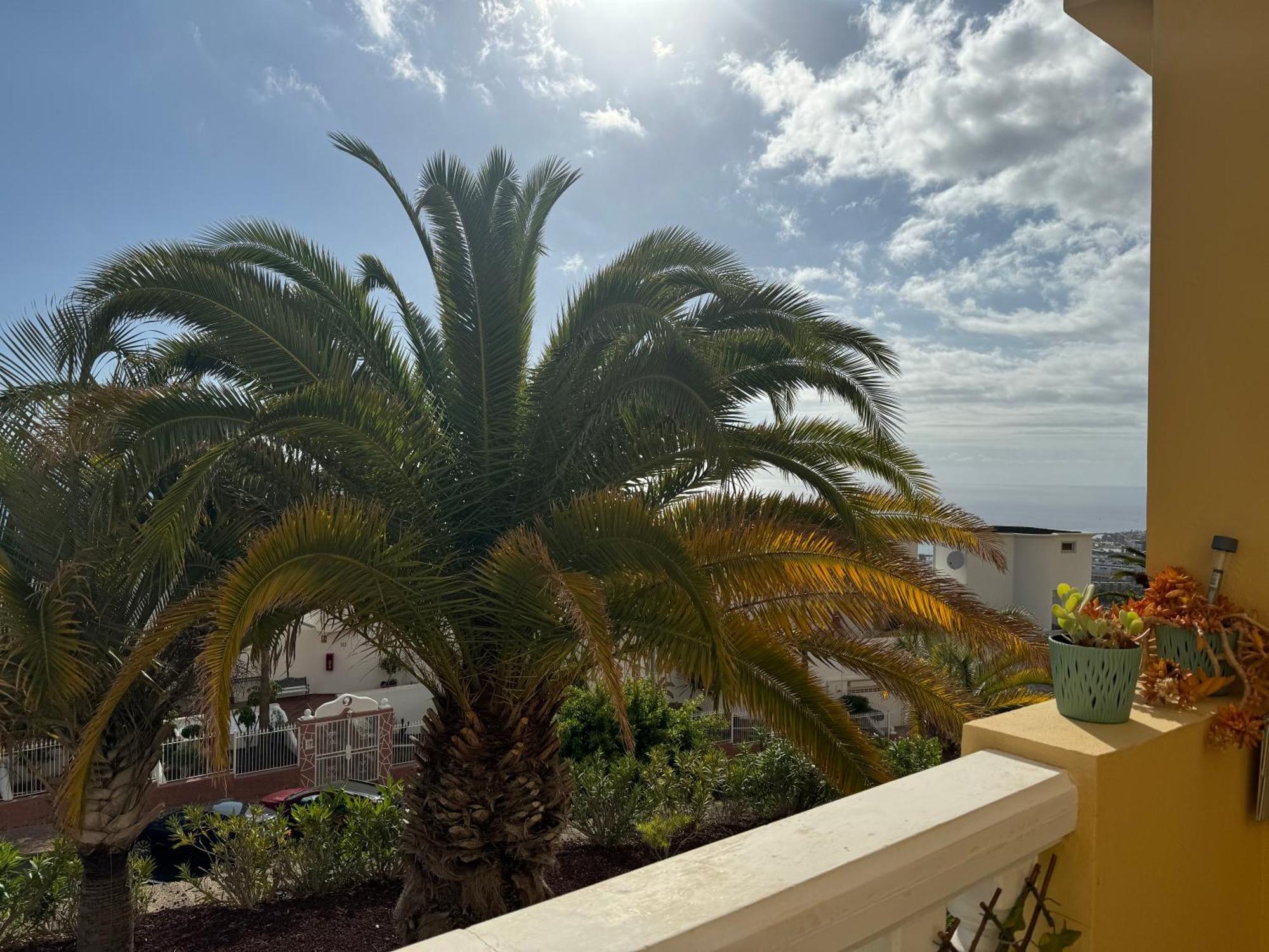 Apartment Sunset View Balcon Del Atlantico Fase Iv In Torviscas