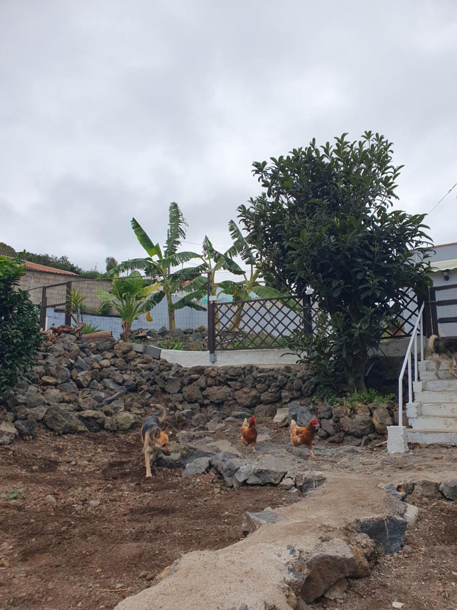 Casas Asomada Сasa de vacaciones *