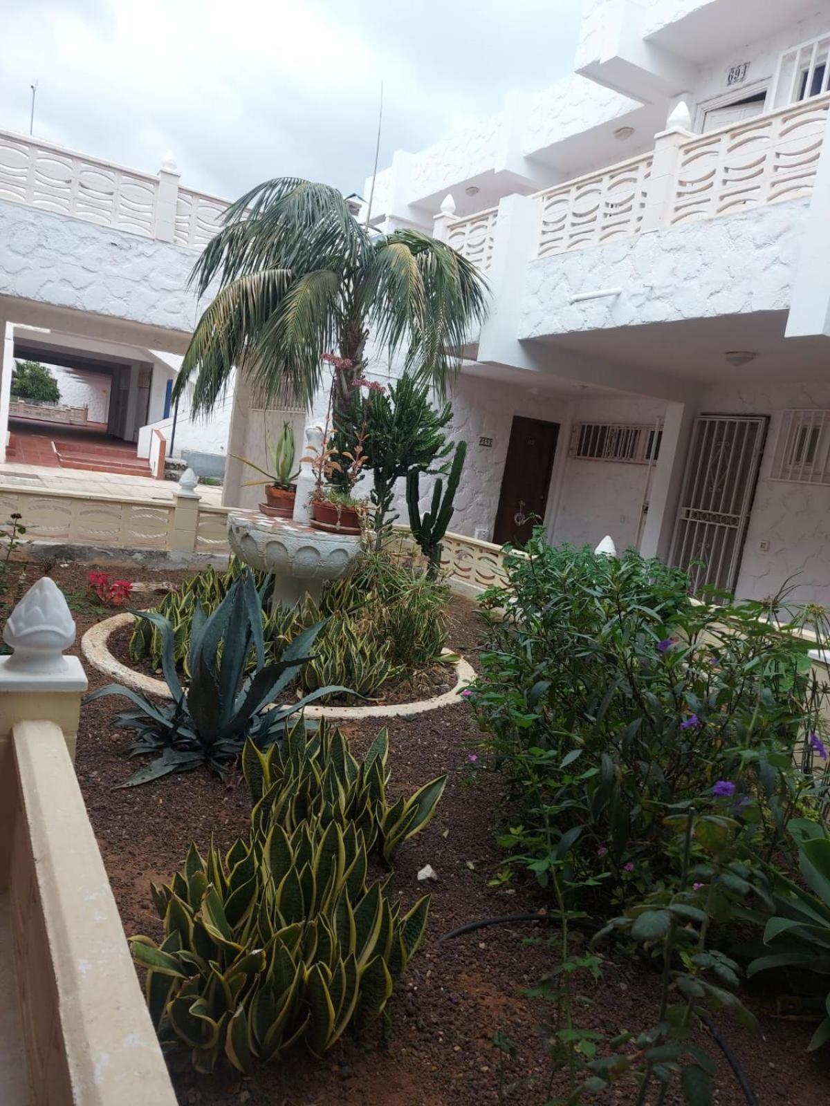 Casa Papagayo Apartment Arona (Tenerife)