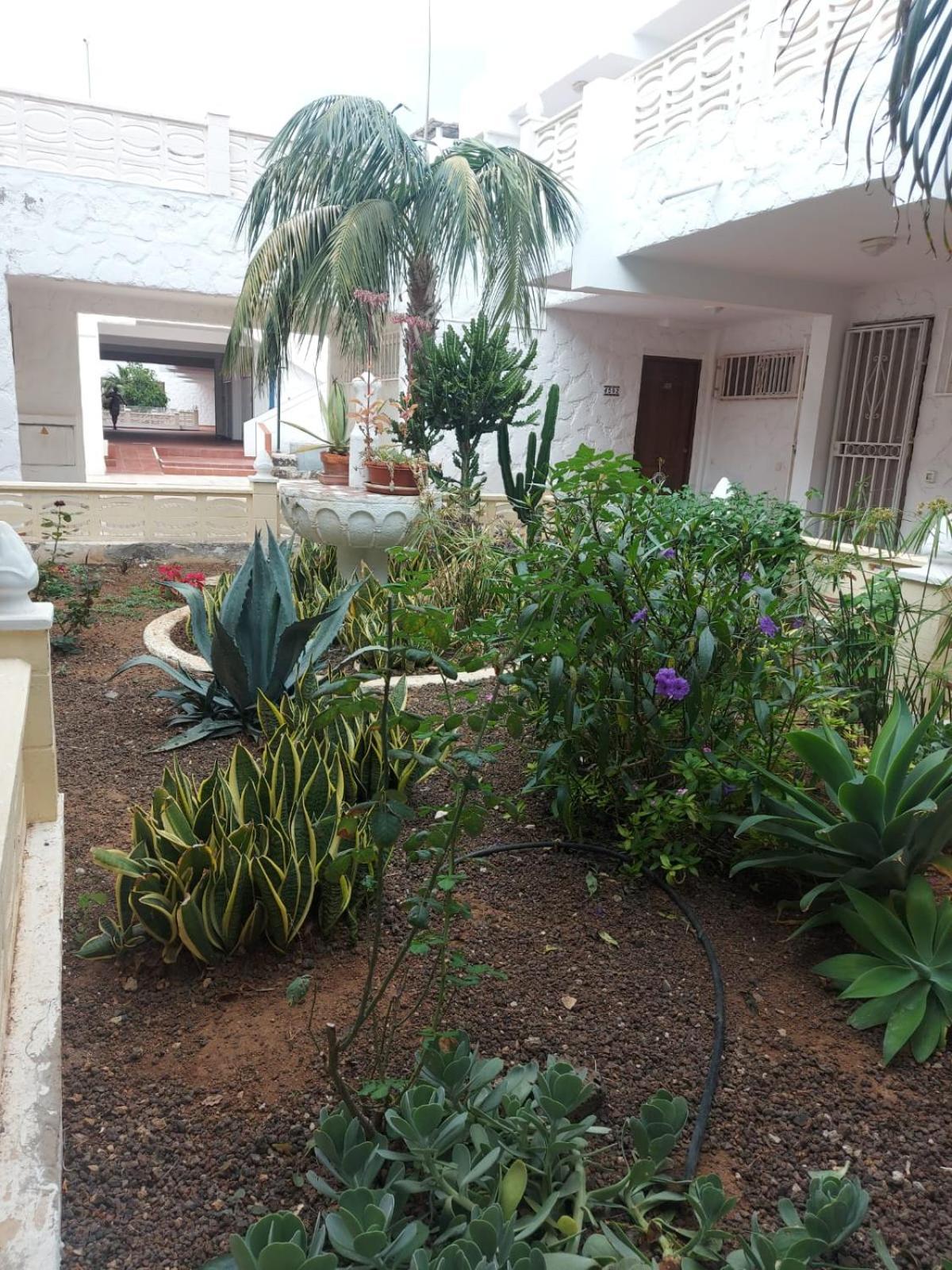 Casa Papagayo *