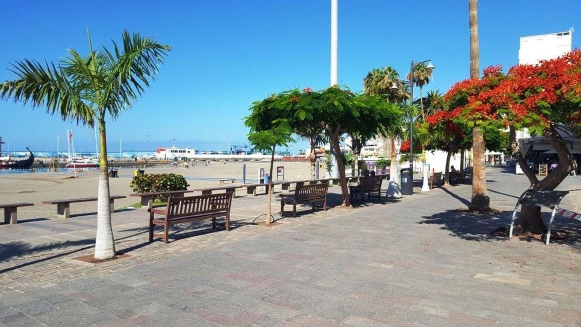 Fuer 3 Personen Ca 45 M In Cristianos, Teneriffa Westkueste Von Teneriffa * Los Cristianos (Tenerife)