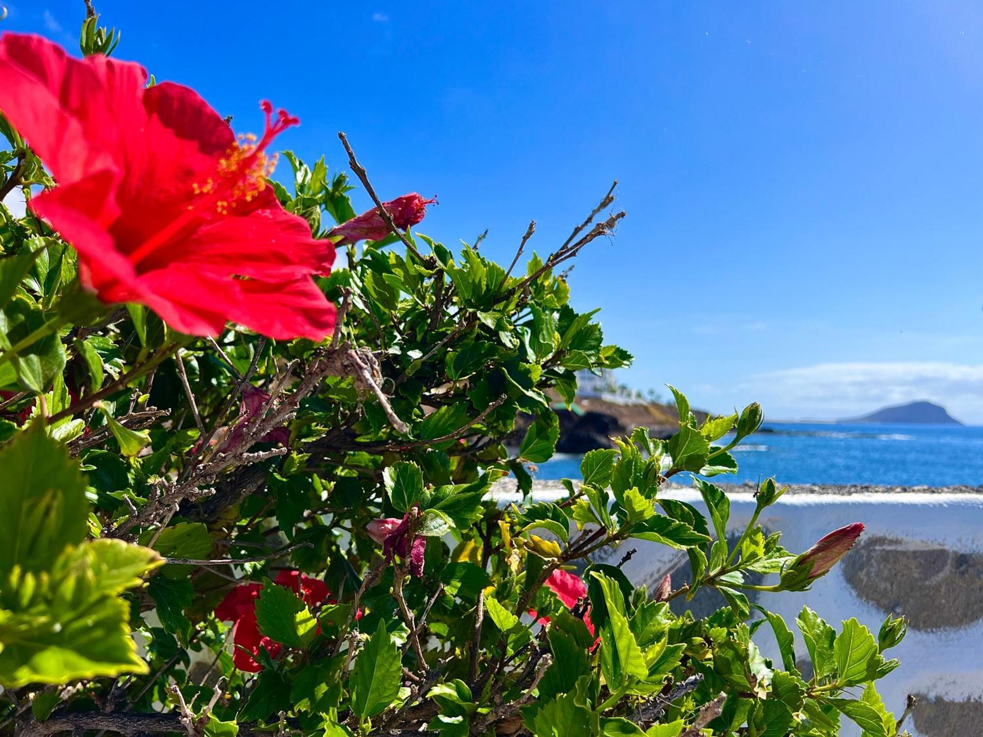 Appartement Paz Ocean View, Air Condition, Wifi, Heated Pool *