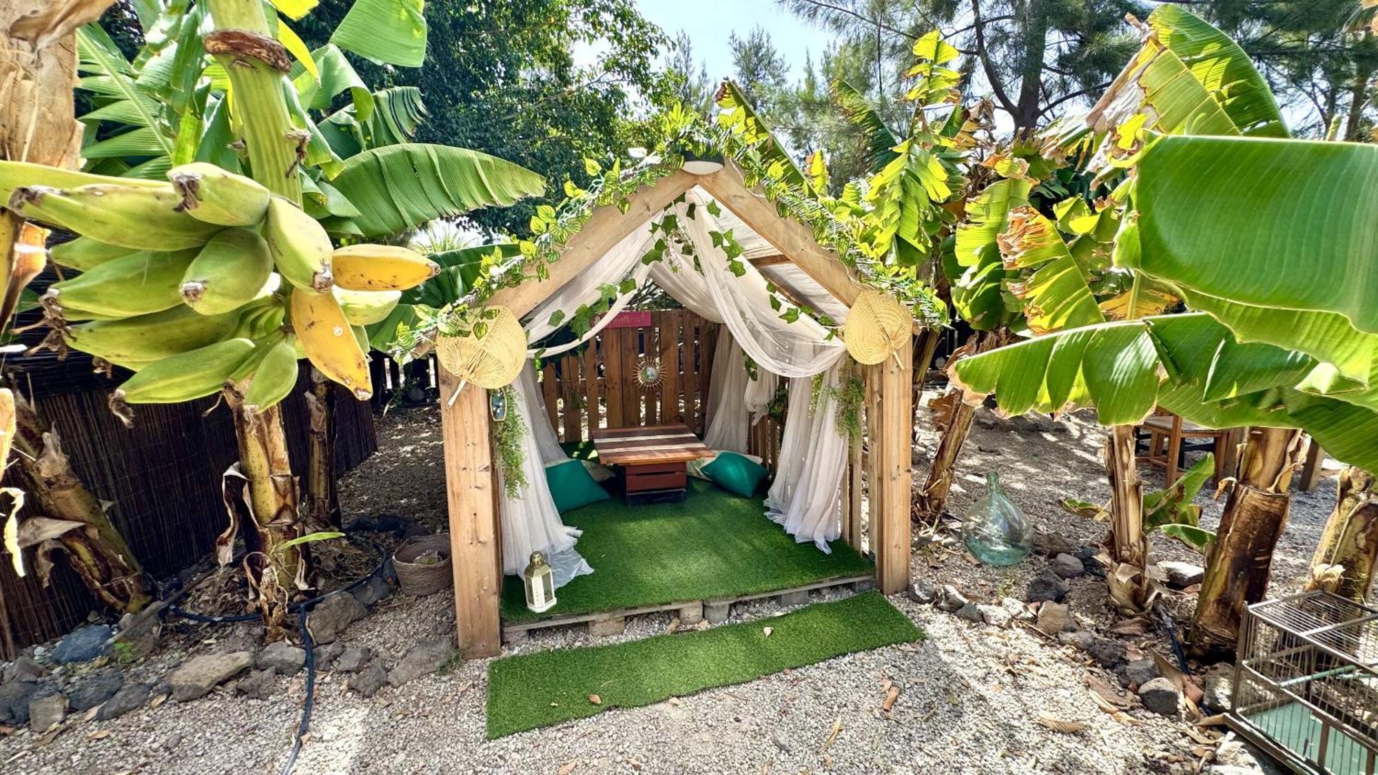 Amani Con Jacuzzi Piscina Y Naturaleza