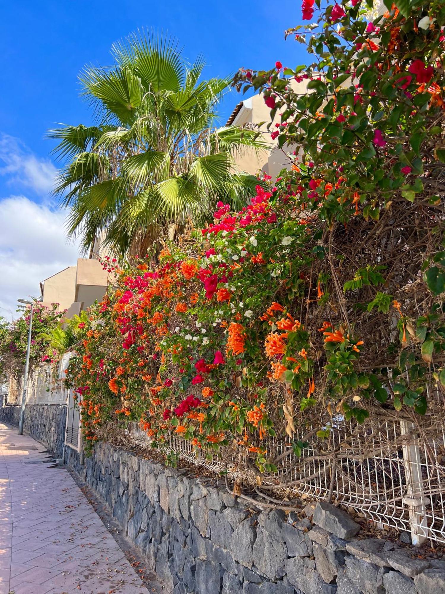 Paz Ocean View, Air Condition, Wifi, Heated Pool * San Miguel de Abona
