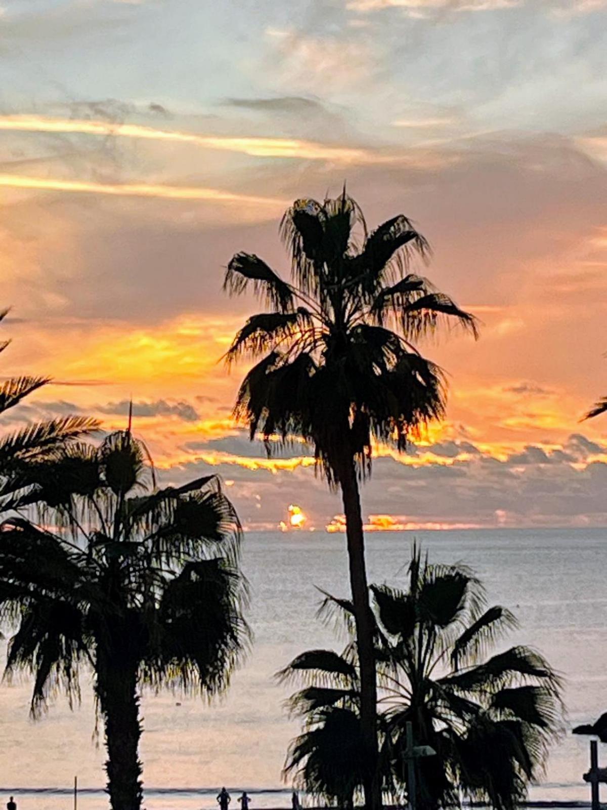 Americas - Garden Costa Adeje (Tenerife)