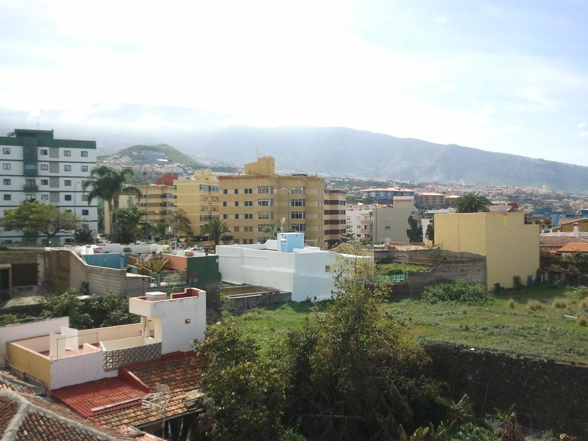 Tejuma Puerto de la Cruz (Tenerife)
