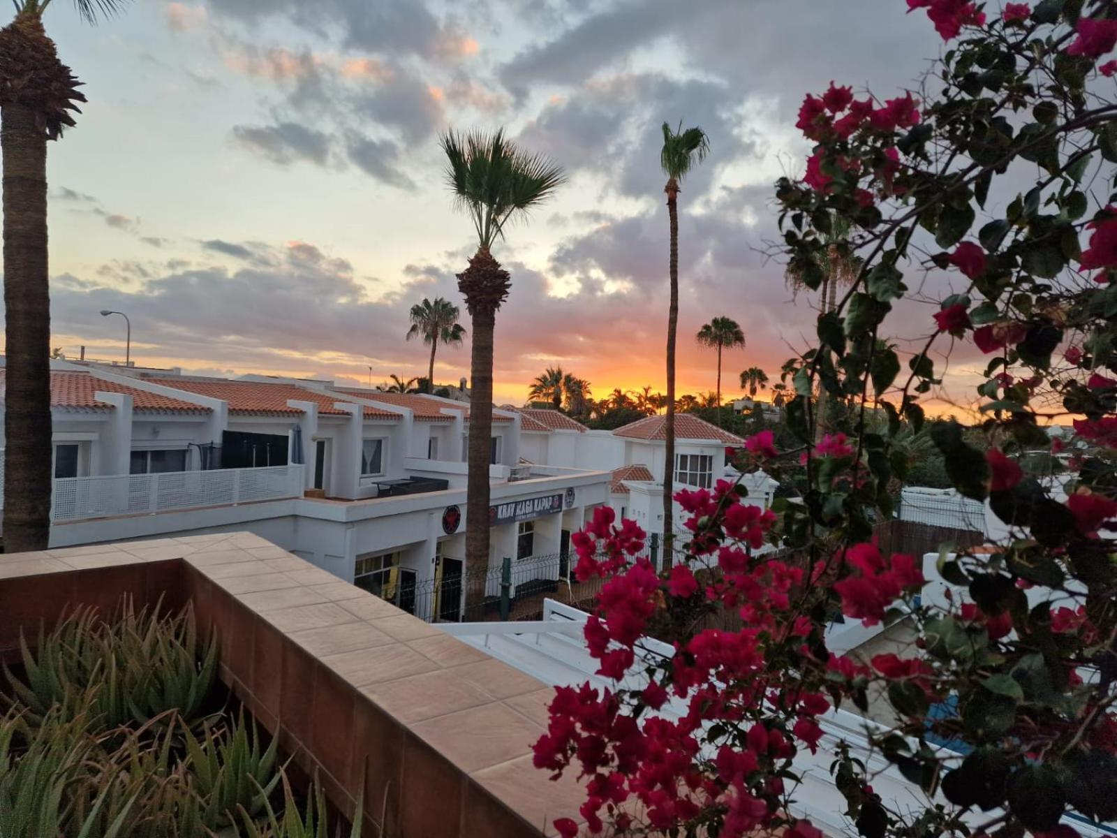 Appartement In The Garden Costa Adeje (Tenerife)