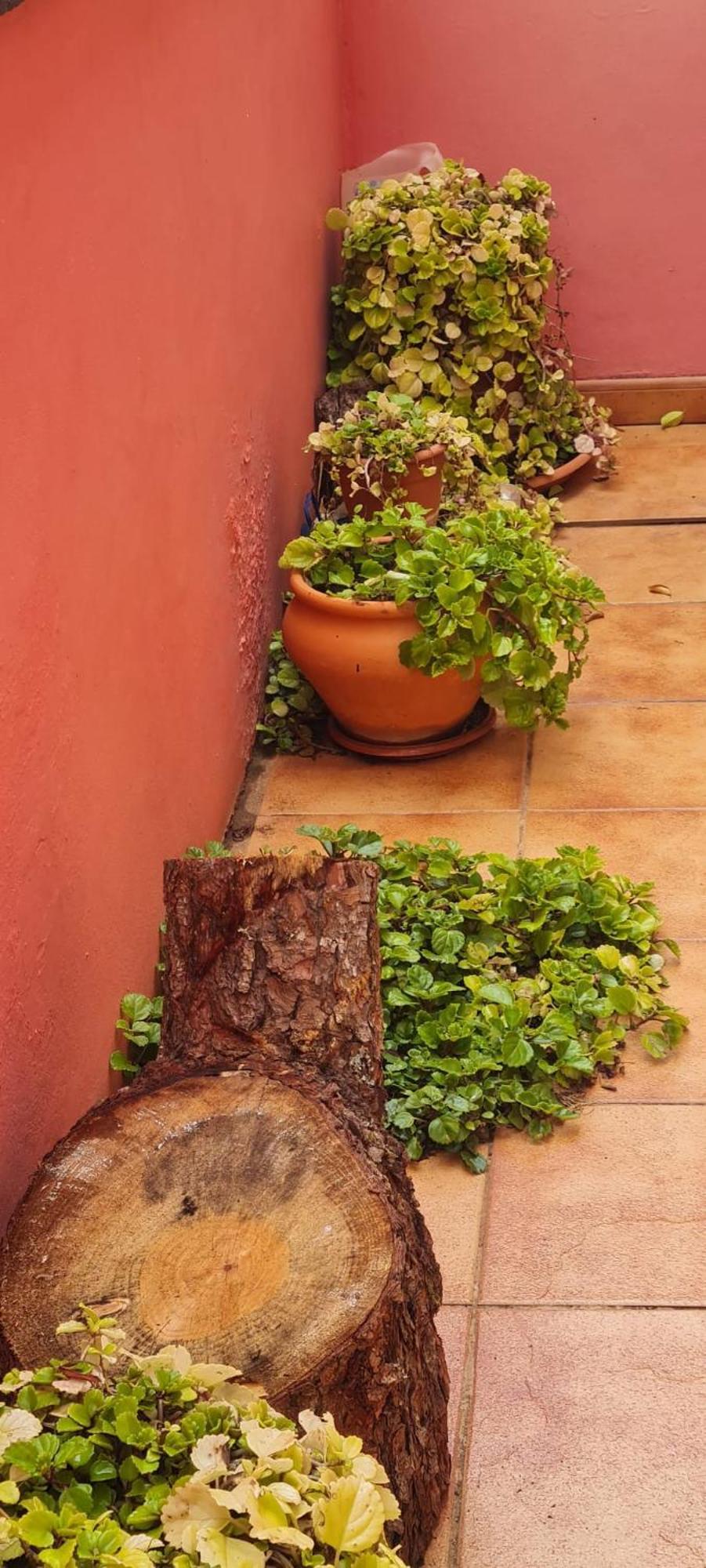 Сasa de vacaciones Mgrahamhouse Tacoronte