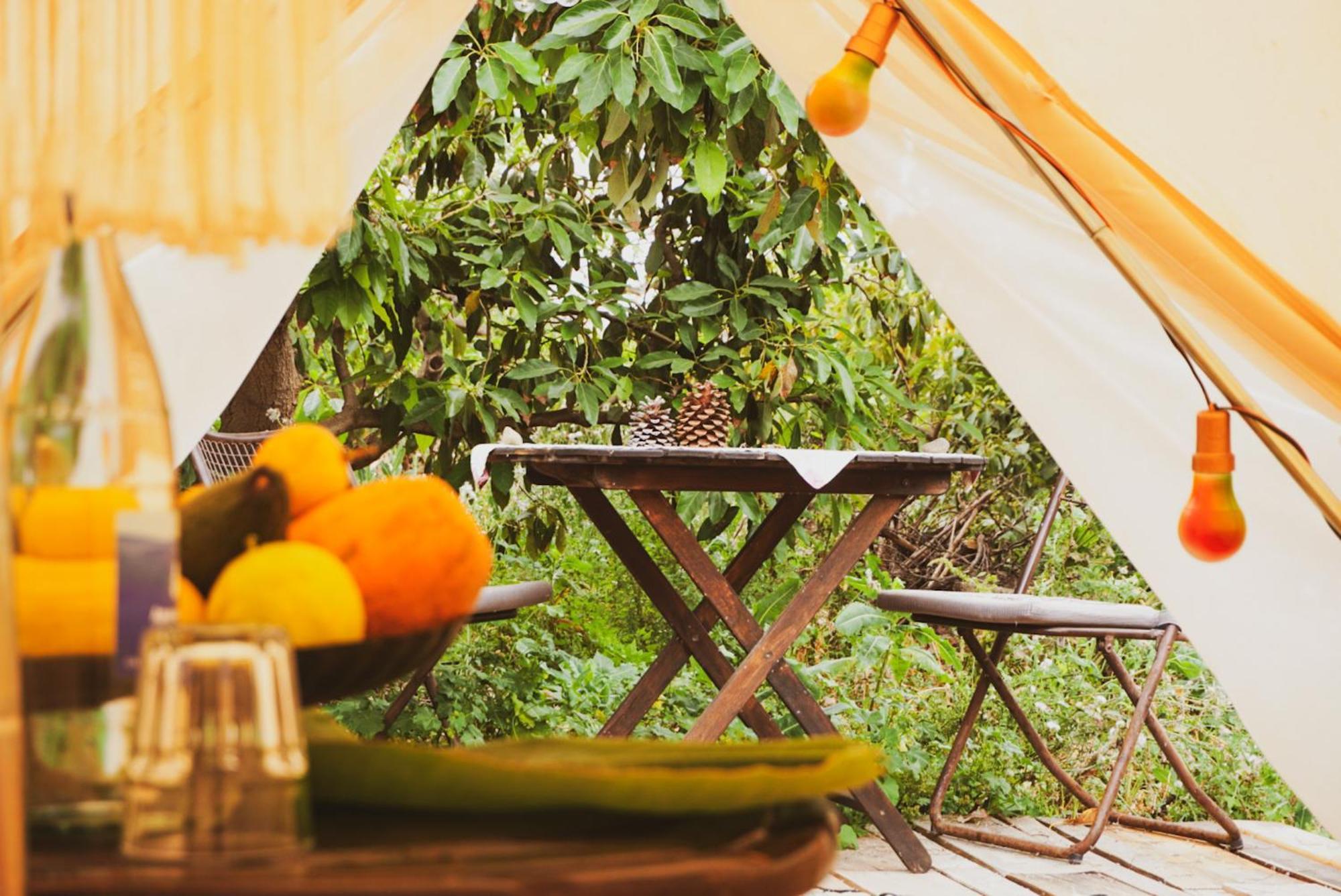 Tente de luxe Yurt In Avocado Garden Güimar