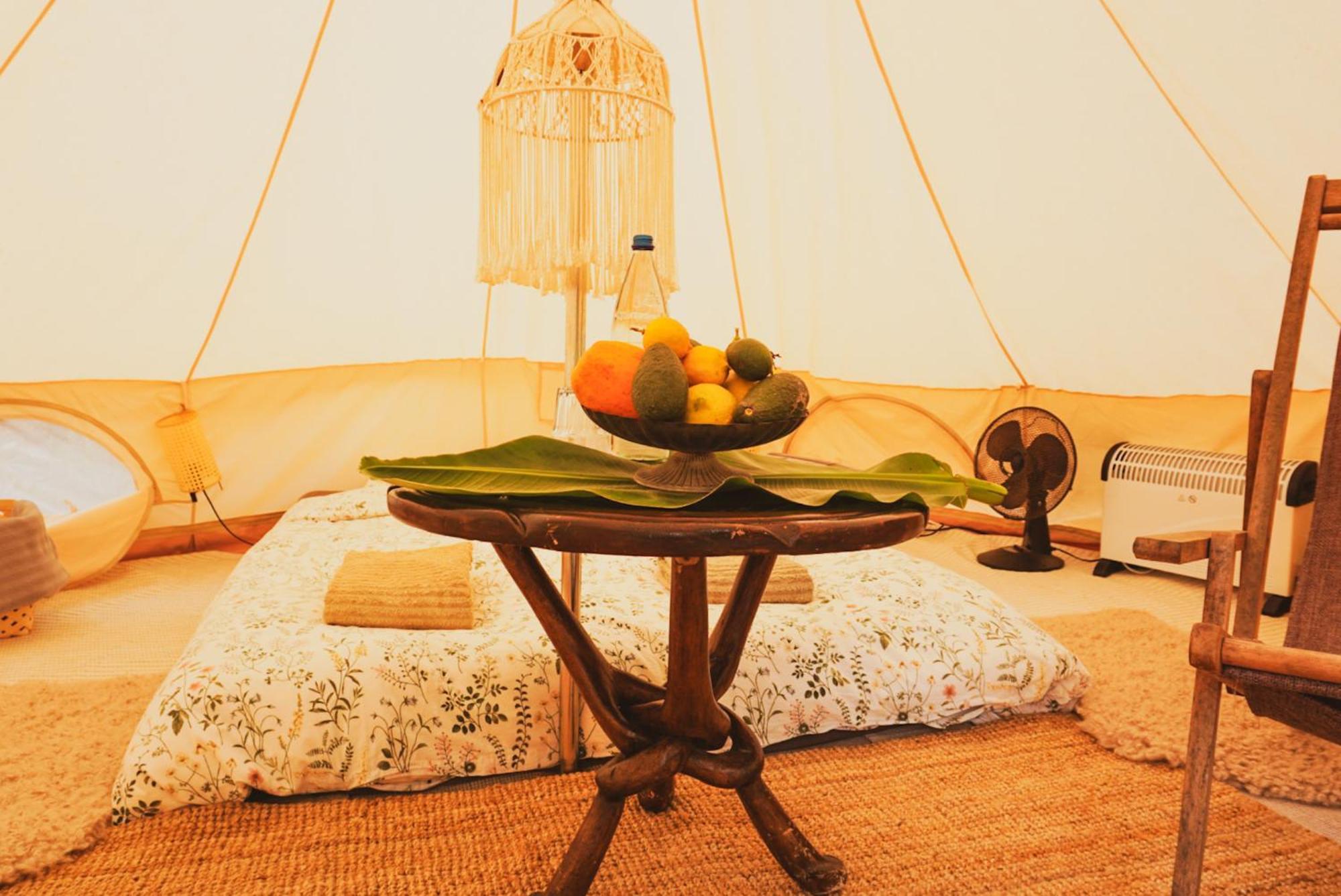 Yurt In Avocado Garden Güimar