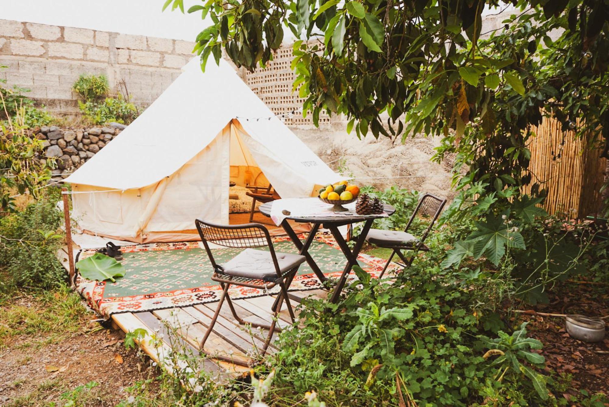 Yurt In Avocado Garden
