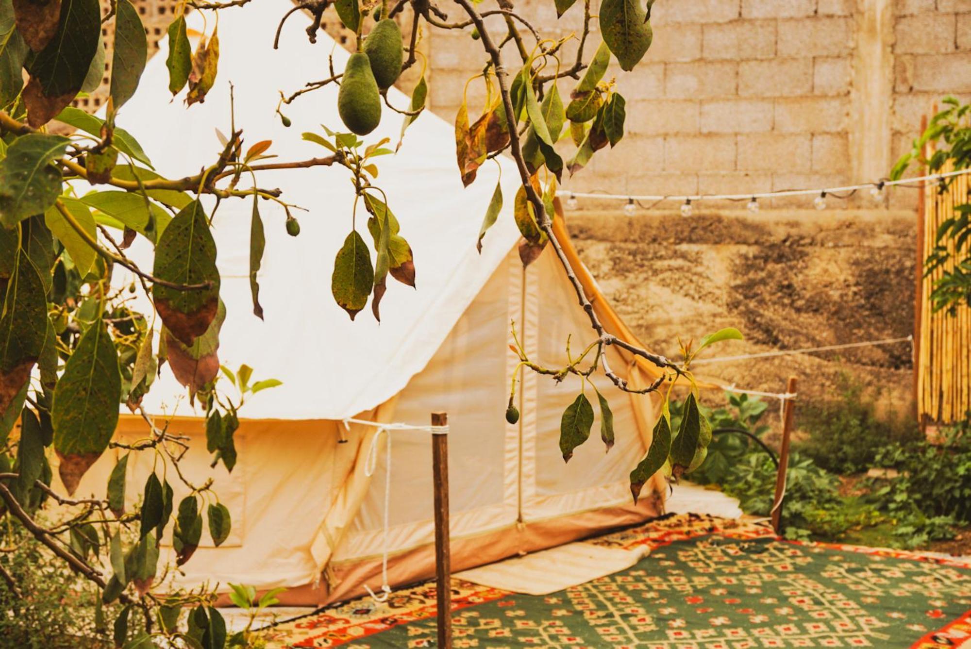Tente de luxe Yurt In Avocado Garden *