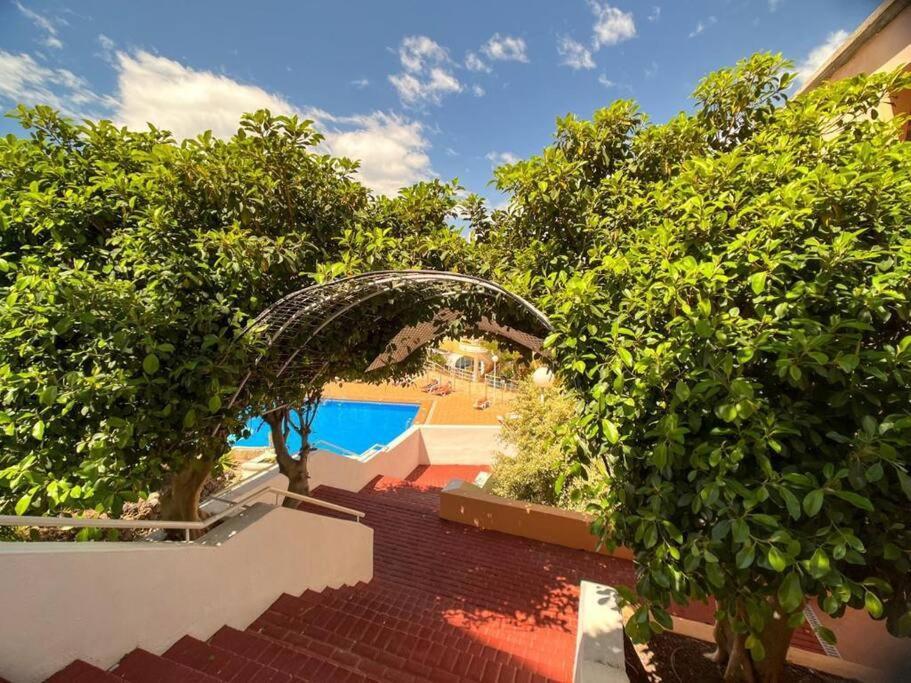 Appartement Orlando