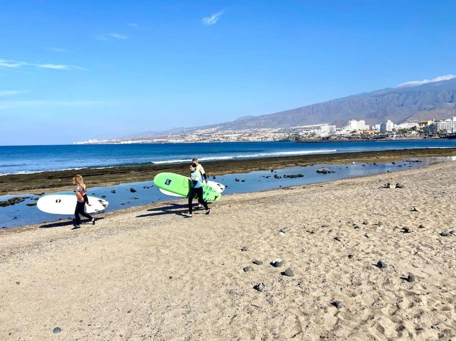Palm Trees - Americas Arona (Tenerife)