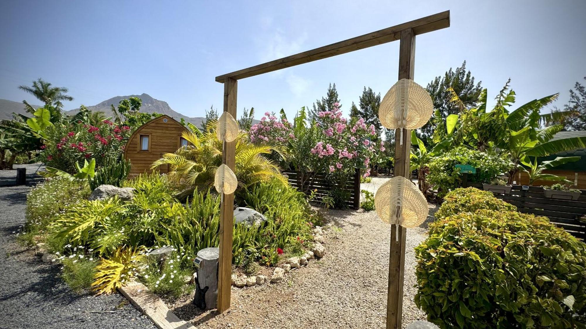Apartment Hayati, Romantica