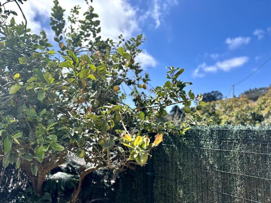 Casita Rural Jacuzzi & Desayuno Santa-Cruz de Ténérife