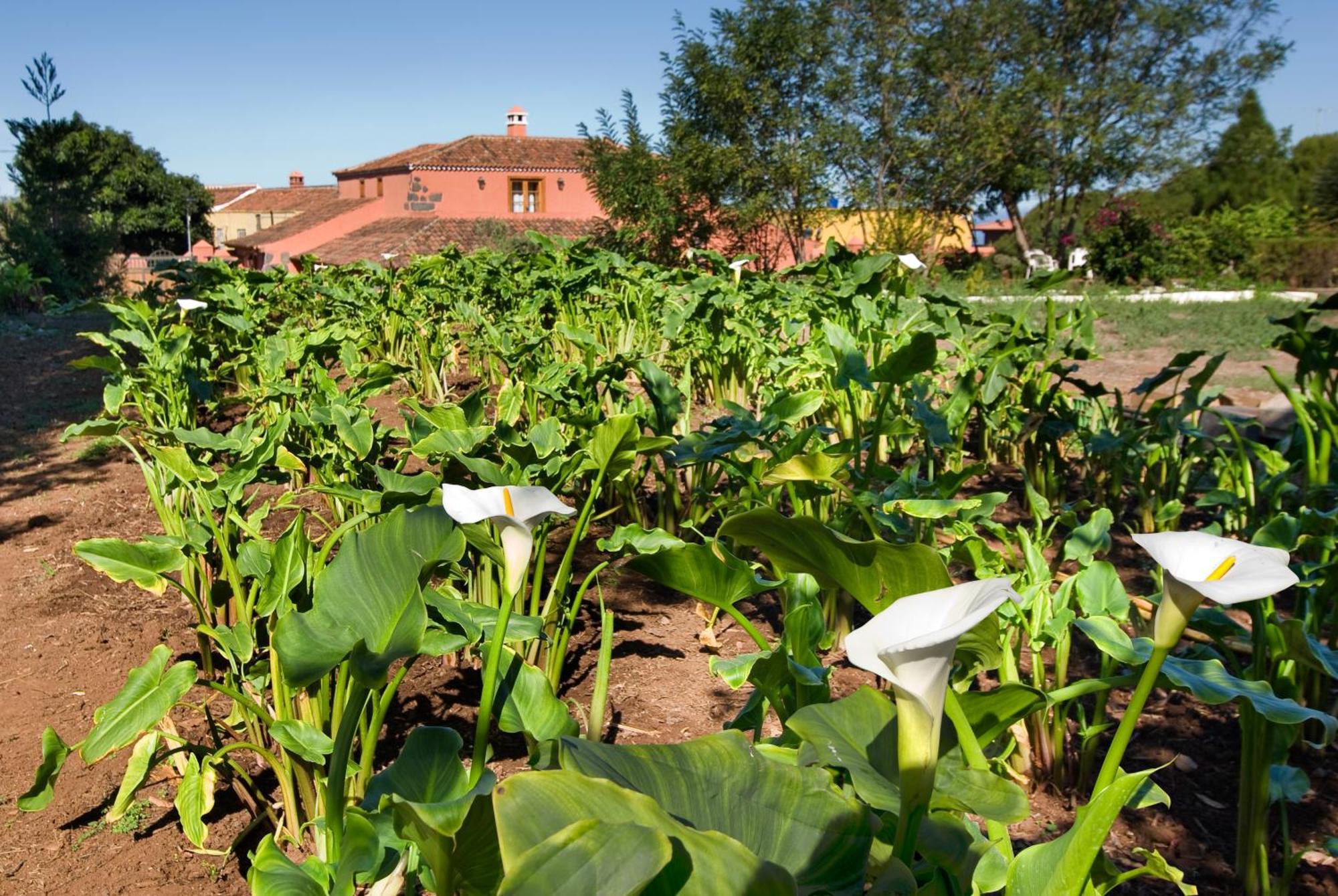 Casa rural El Adelantado