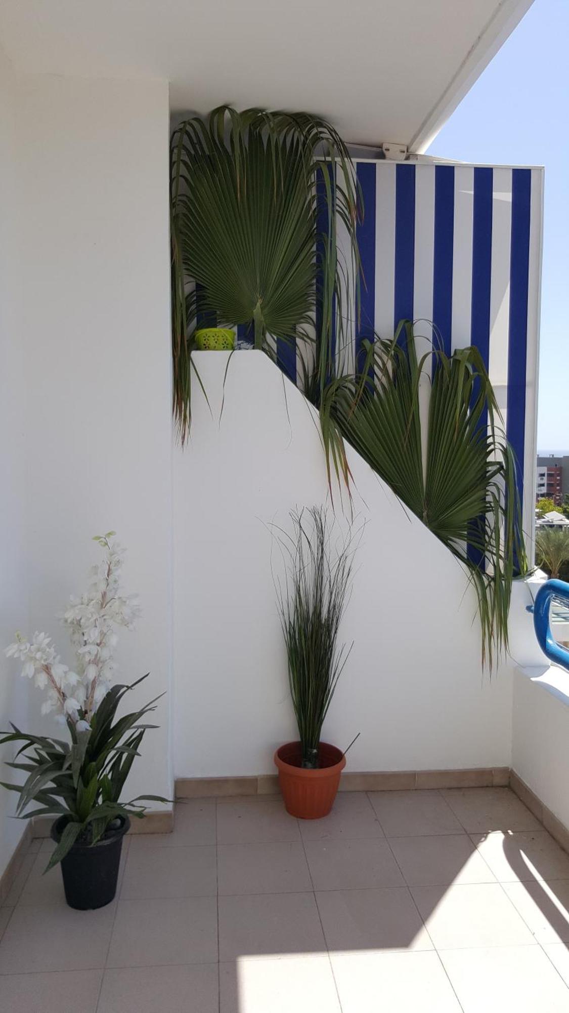 Paraíso Del Sur