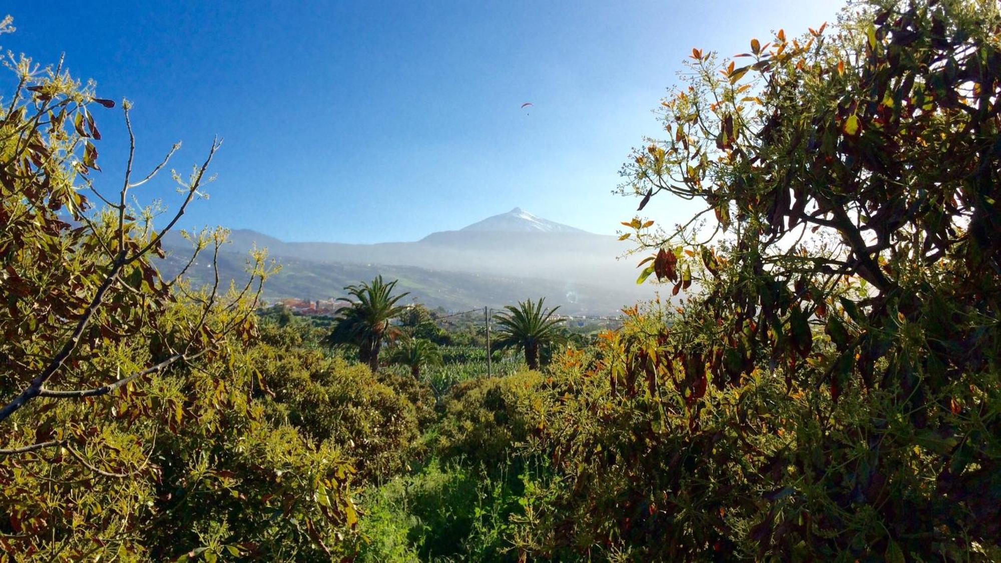 La Plantacion _agroturismo Holiday home *