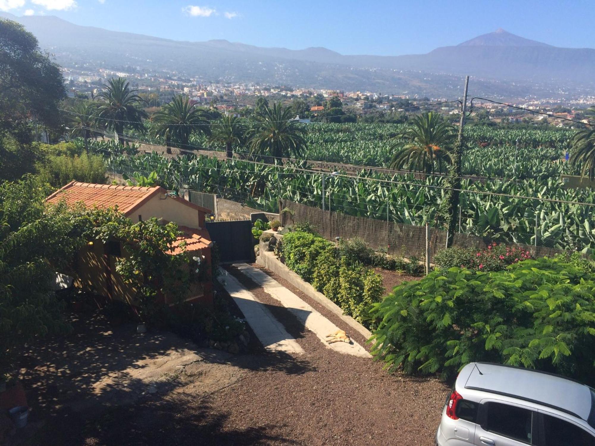 Holiday home La Plantacion _agroturismo La Orotava