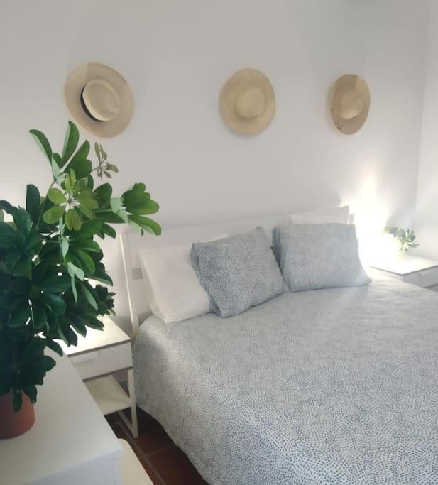 Simpatico Con Piscina Privada Y Vistas Apartamento