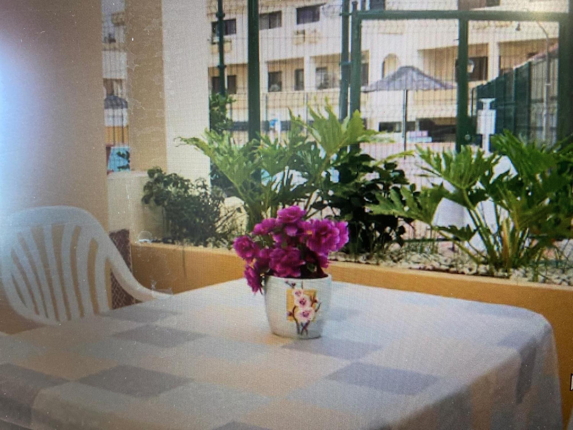 Apartment Holiday