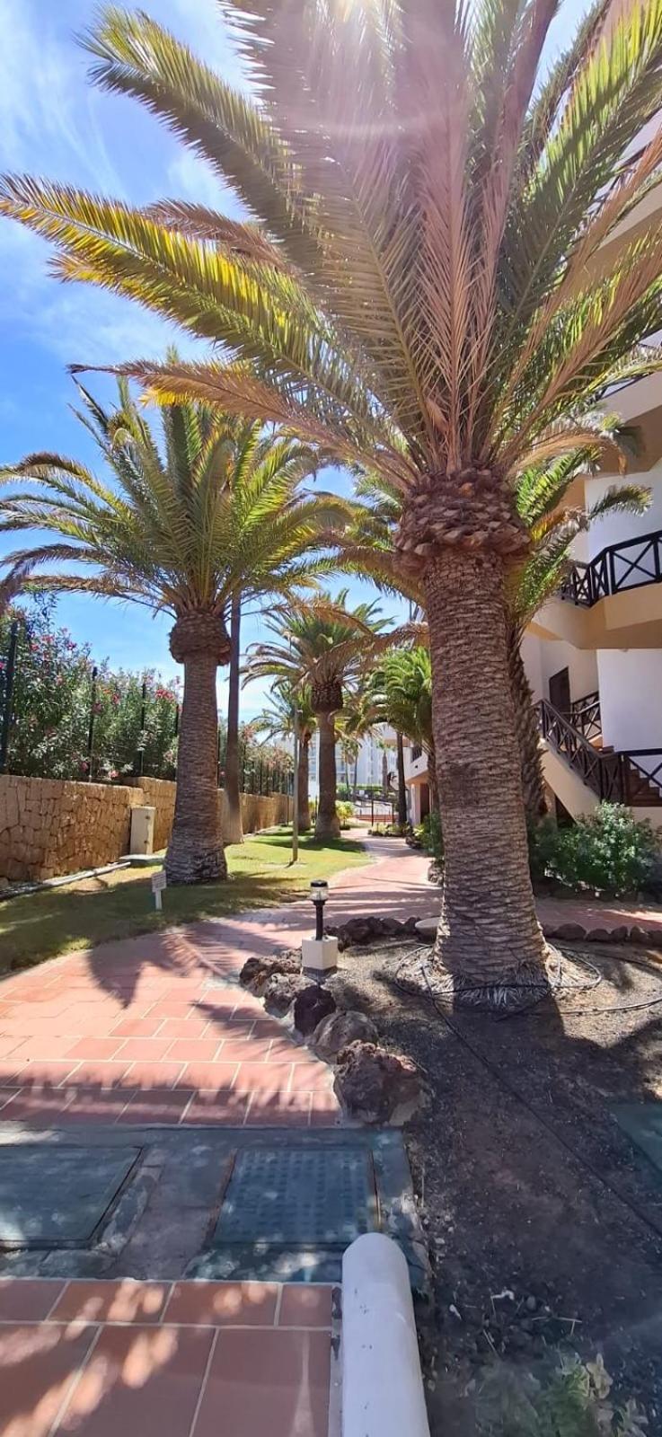 George Tenerife * San Miguel de Abona