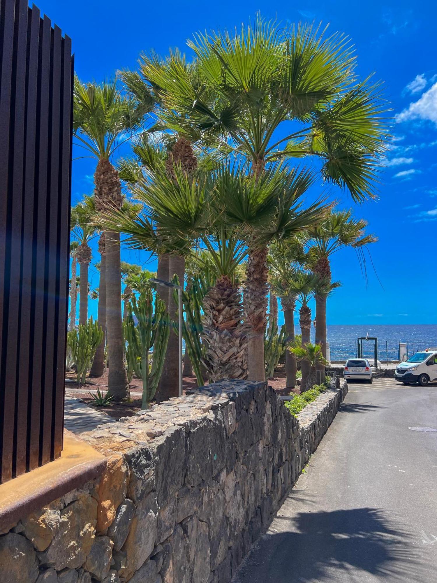 Appartement Paz Ocean View, Air Condition, Wifi, Heated Pool