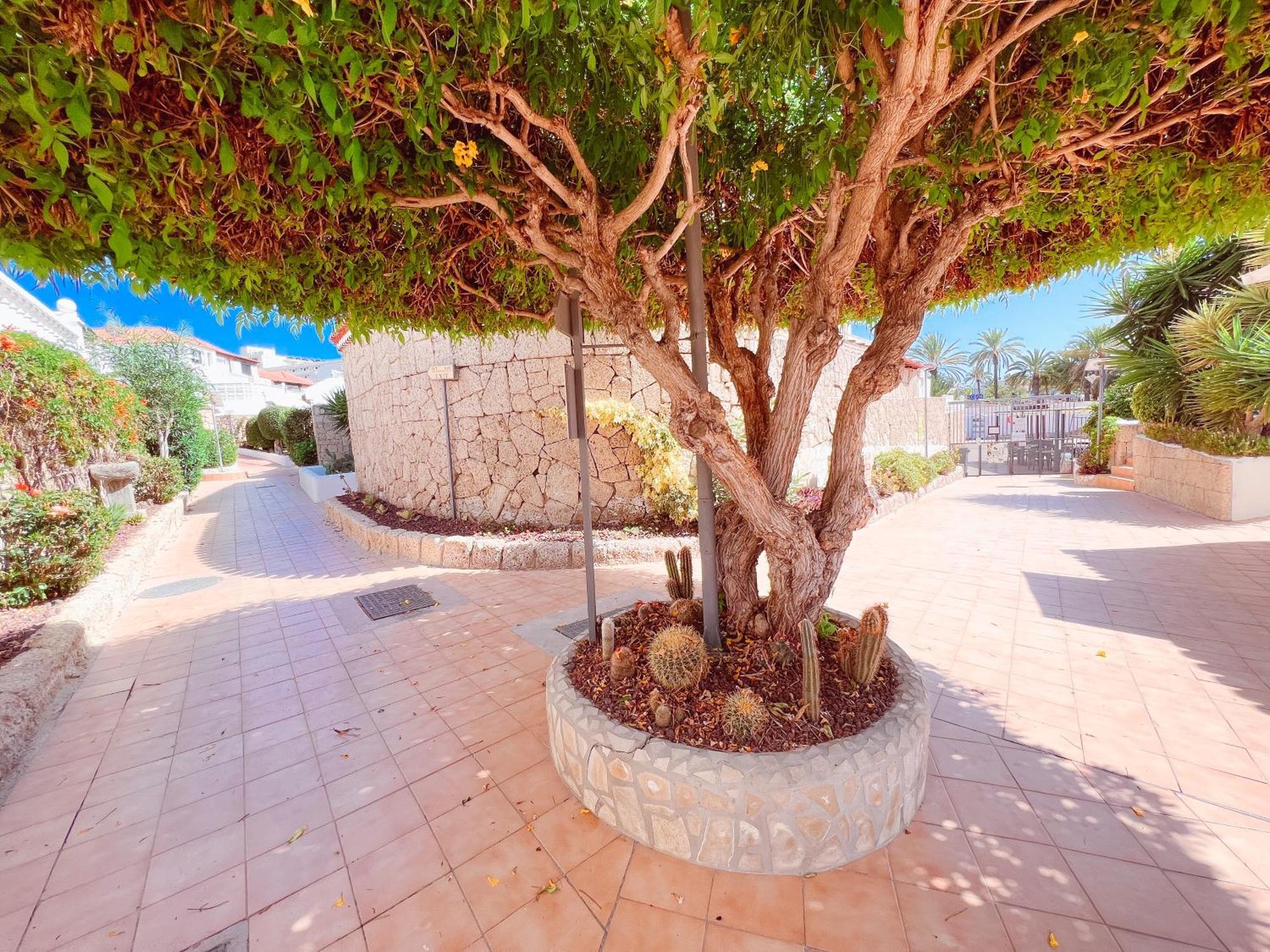 Apartment In Paraiso Royal, Playa De Americas