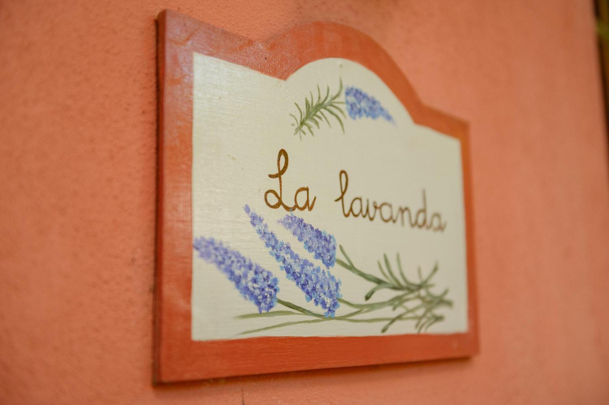 Homeforguest Cosy Rural Flat La Lavanda Surrounded By Nature Appartement