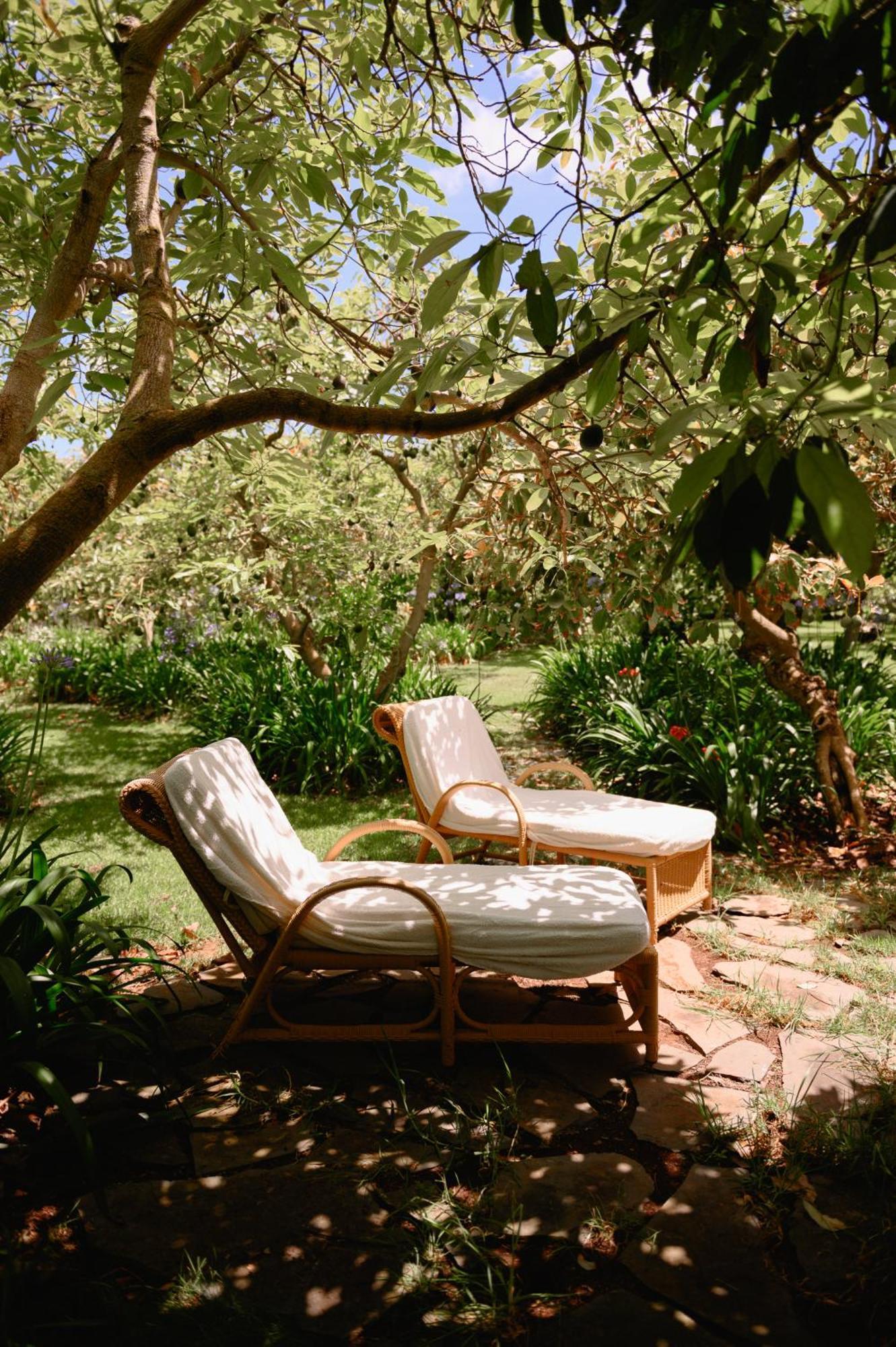 Homeforguest Rural House With Garden El Laurel Apartment Tacoronte