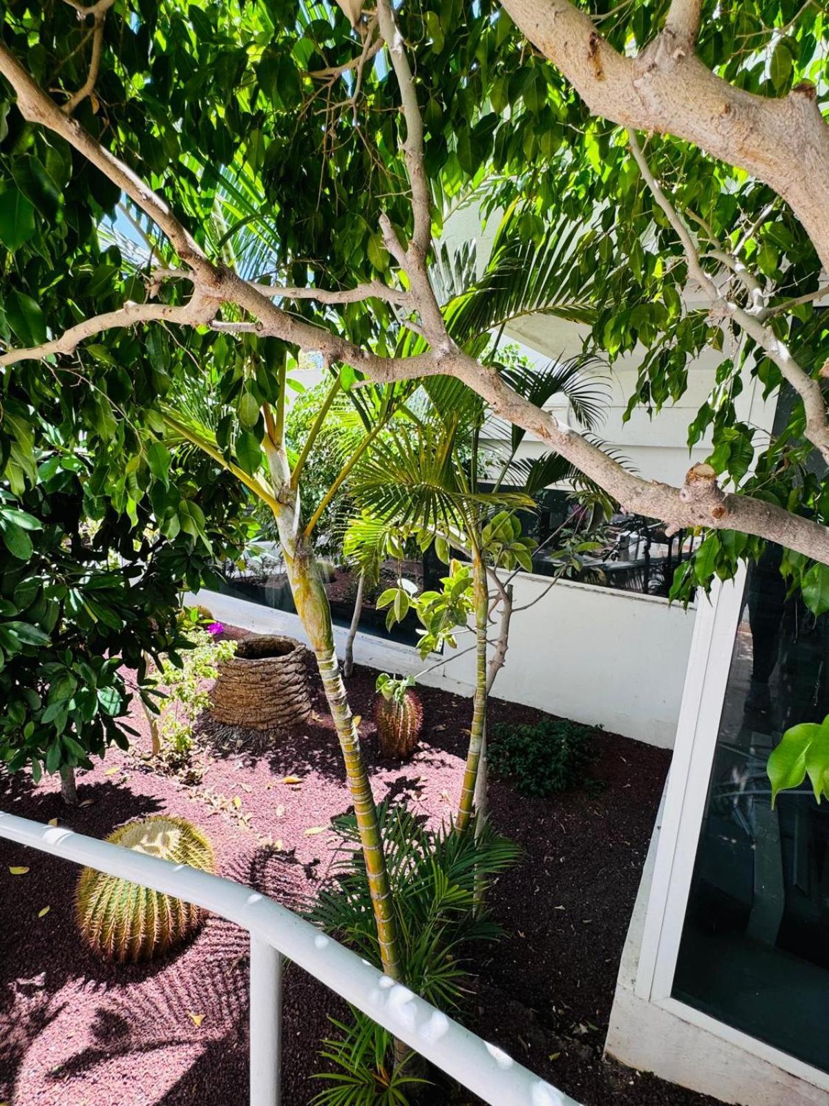 Jameo De Agua, Americas Sea View Apartment