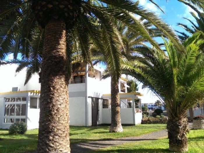 El Drago Fiber ,a/c,near Ocean Apartment Costa Del Silencio
