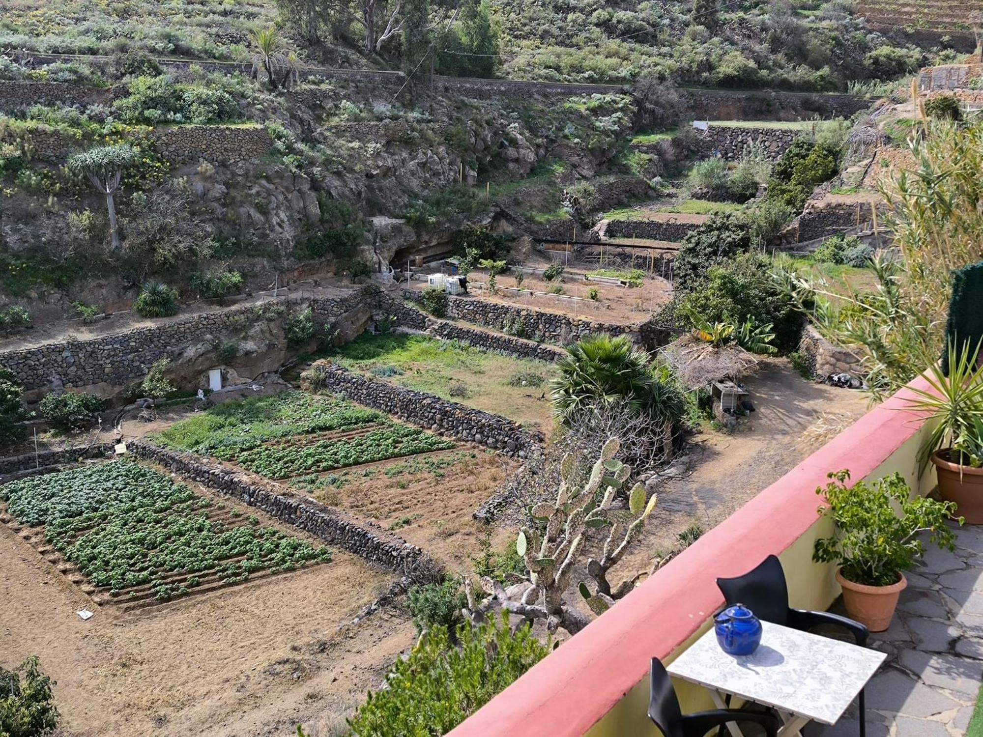 Rural La Raya 1866 Güimar