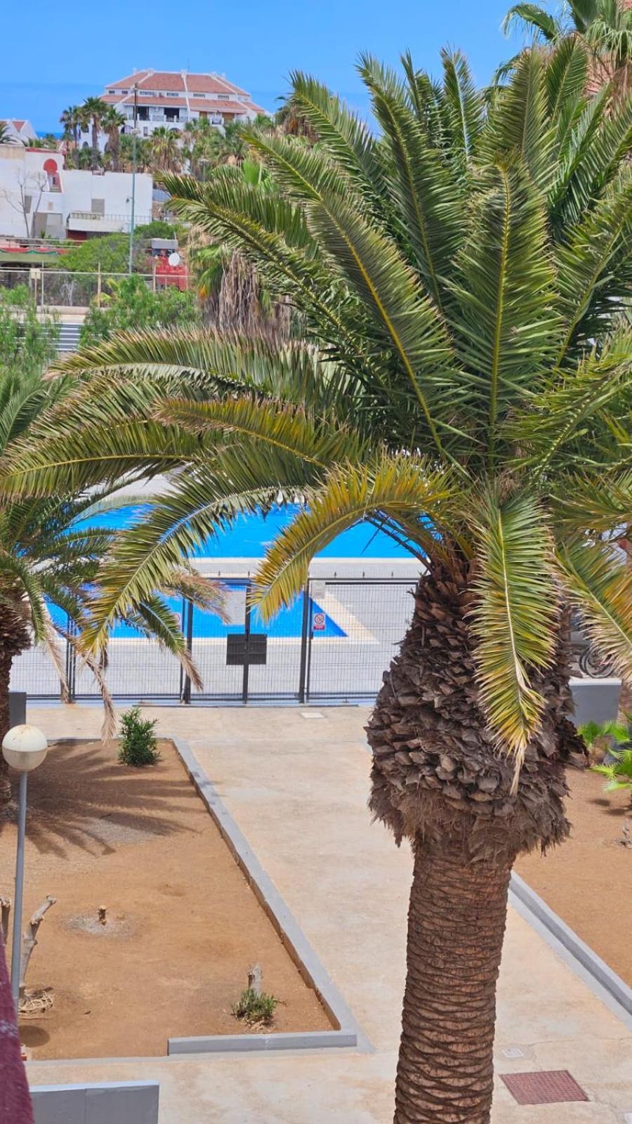Paraiso Altemar, Duplex Americas *