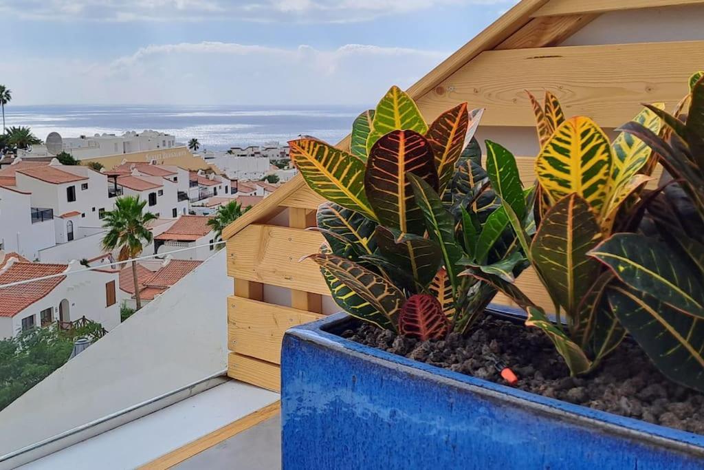 Serenity Ocean View 1br With Pool In Valley Costa Adeje