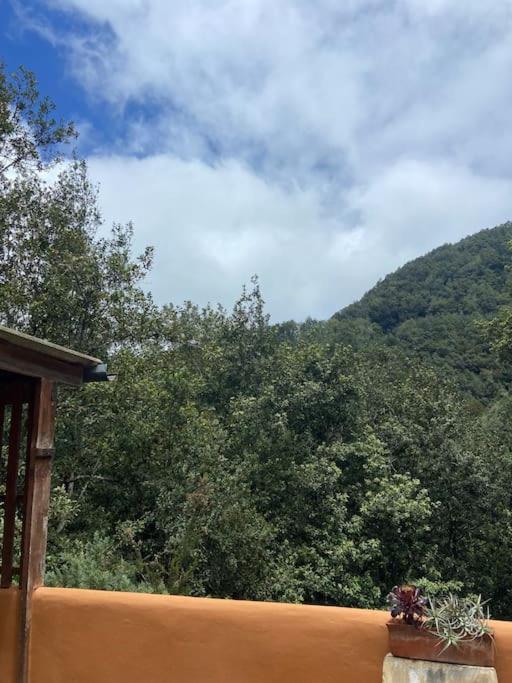 Hébergement de vacances Luz De Vida Anaga
